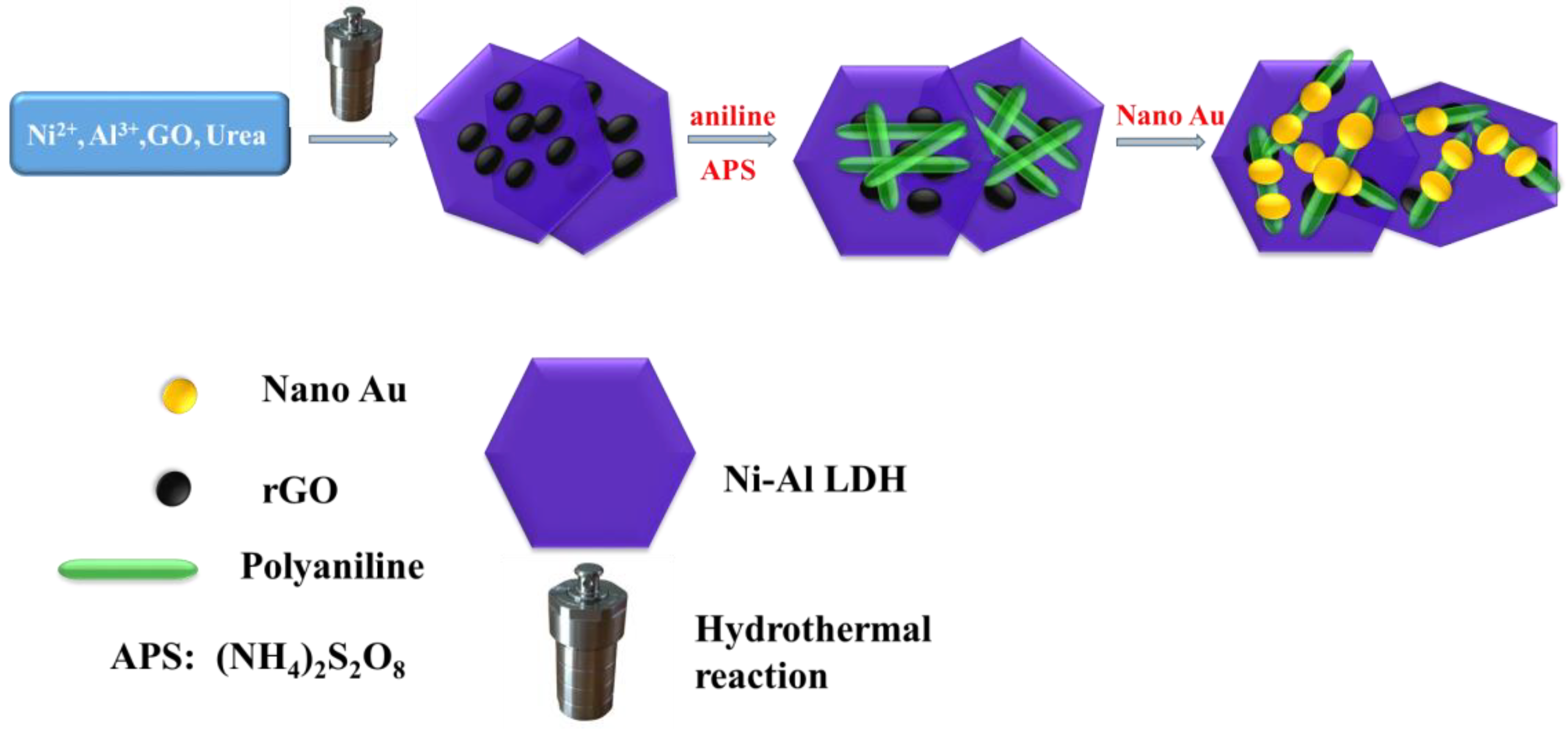 Biosensors 14 00018 sch001