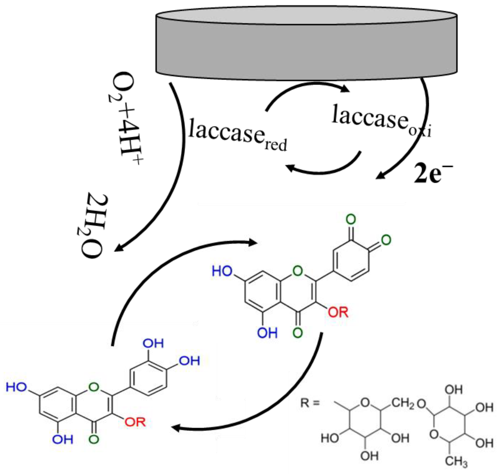 Biosensors 14 00018 sch002