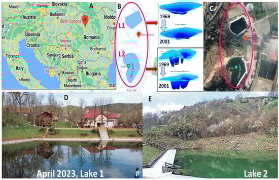 Biosensors 14 00019 g001