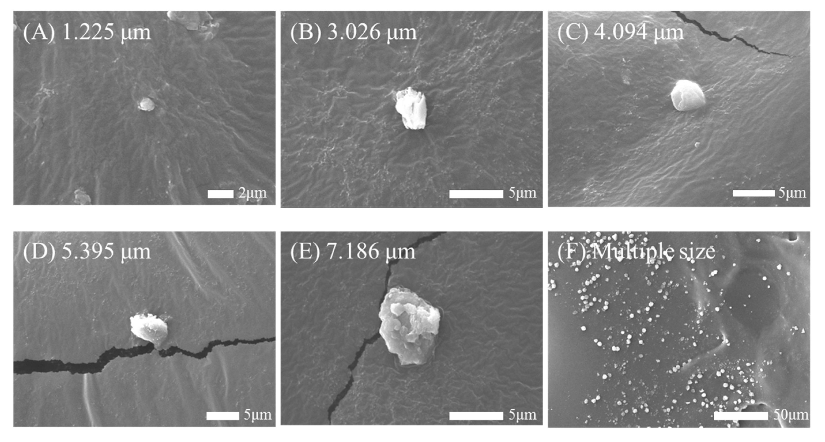 Biosensors 14 00027 g003