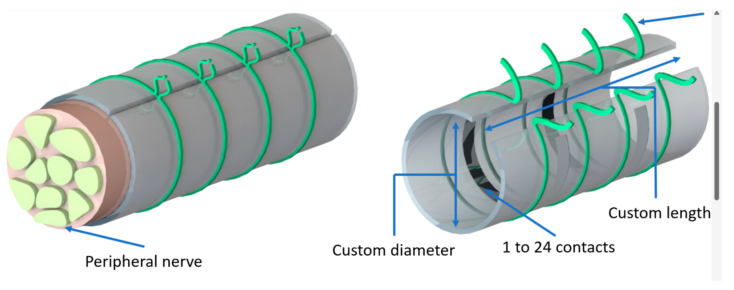 Biosensors 14 00031 g002