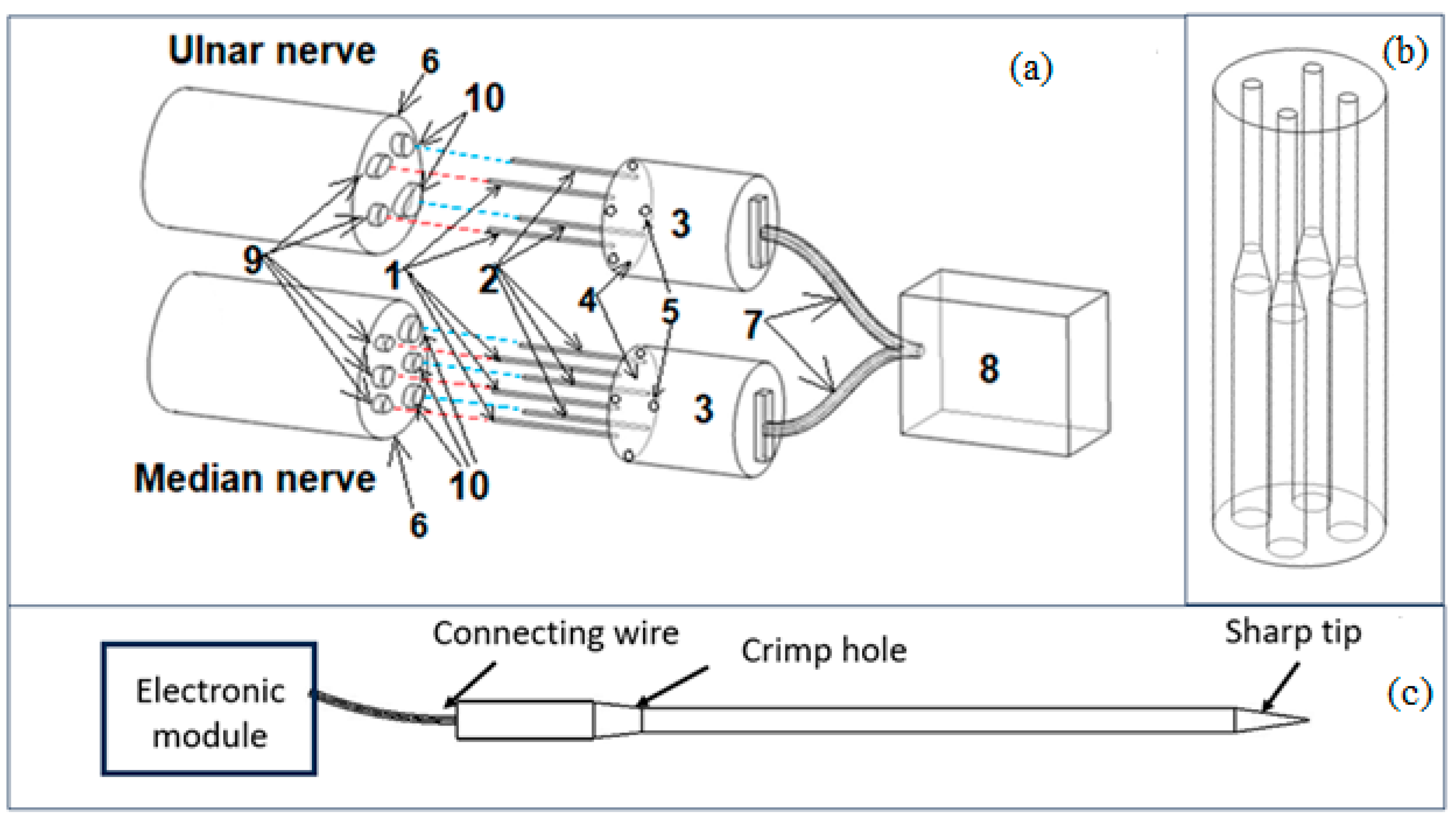 Biosensors 14 00031 g003