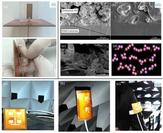 Biosensors 14 00035 g002