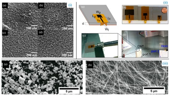 Biosensors 14 00035 g003