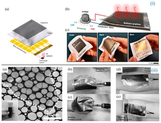 Biosensors 14 00035 g004