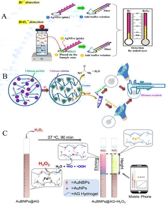 Biosensors 14 00036 g002