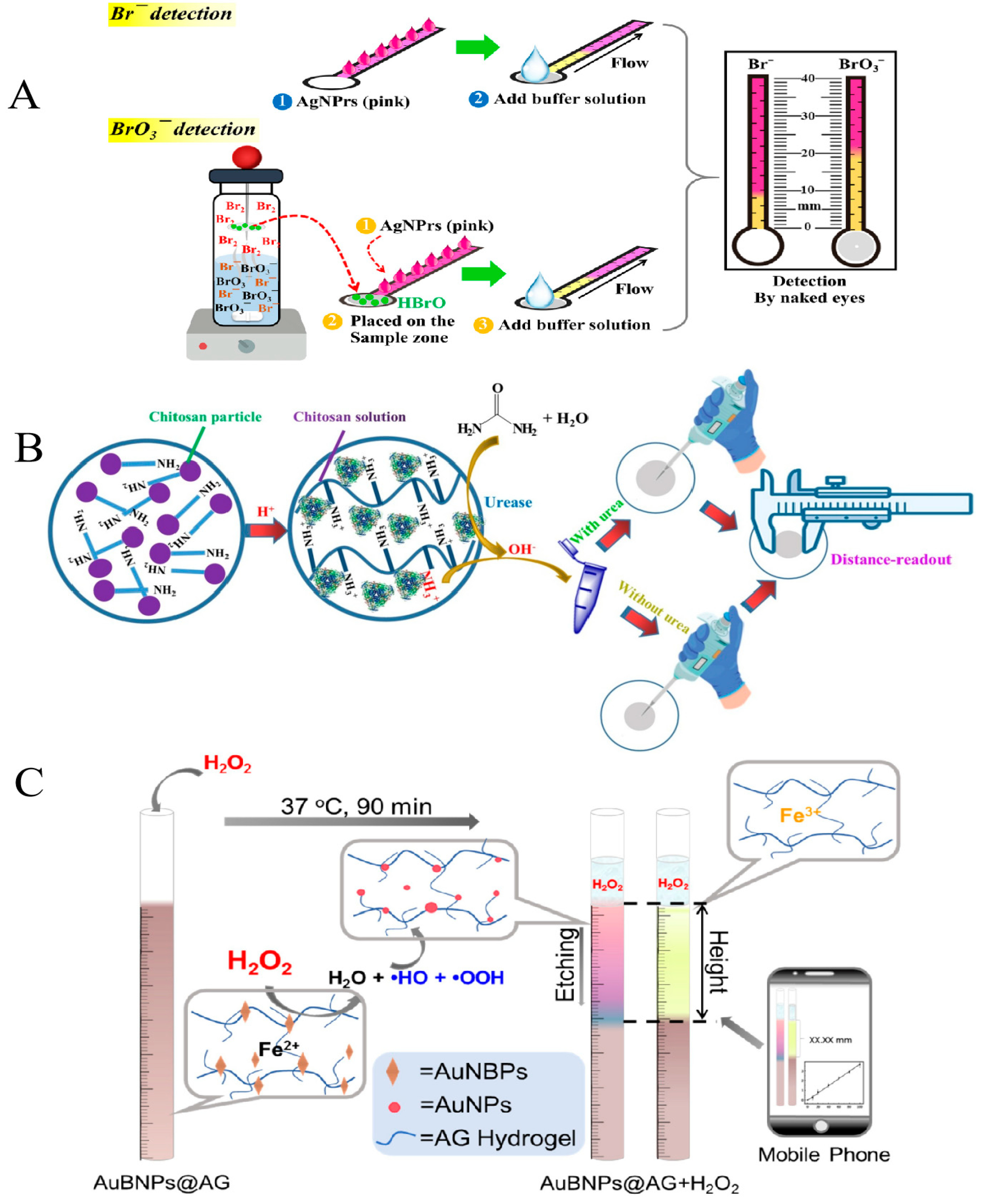 Biosensors 14 00036 g002