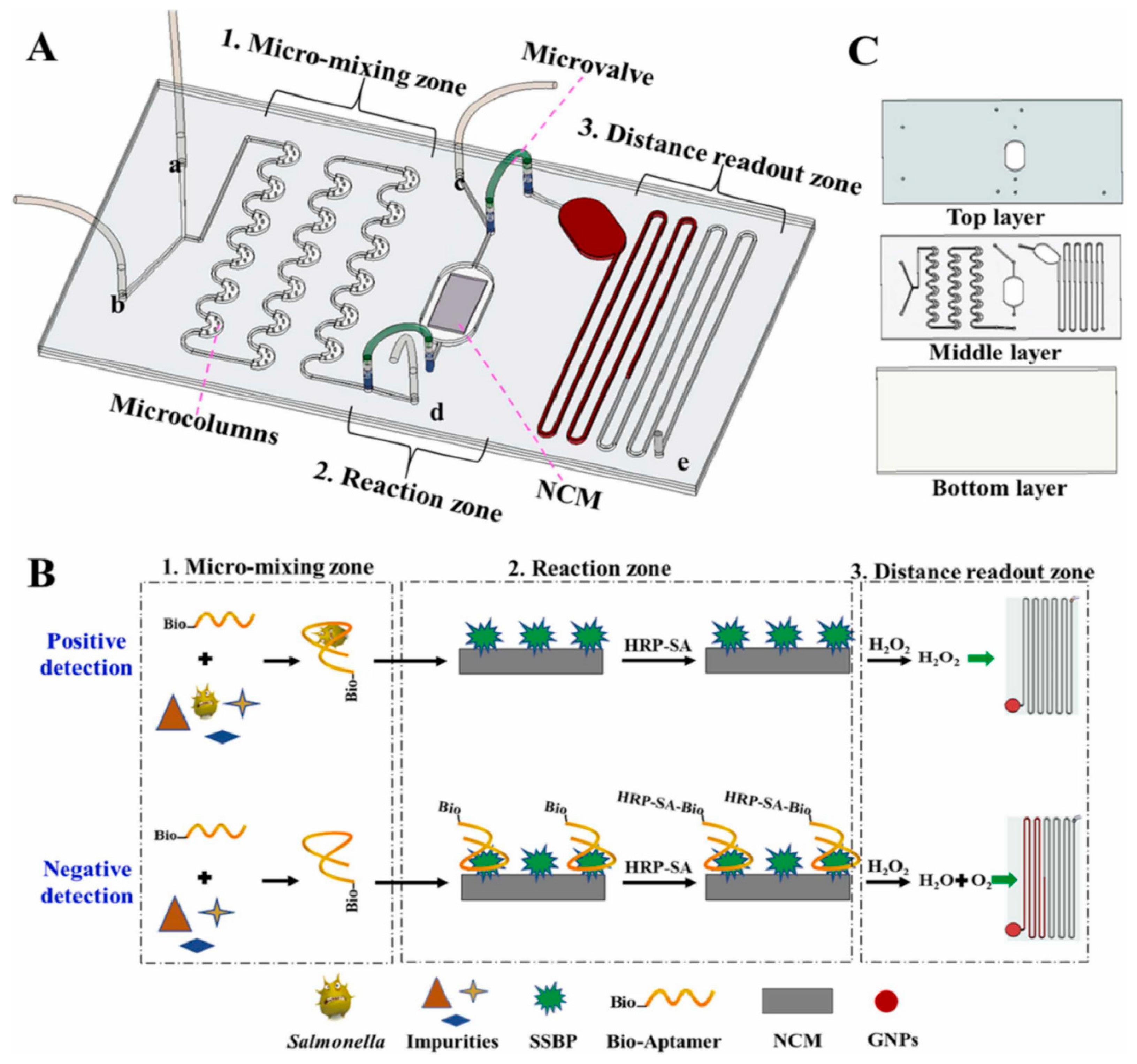 Biosensors 14 00036 g007