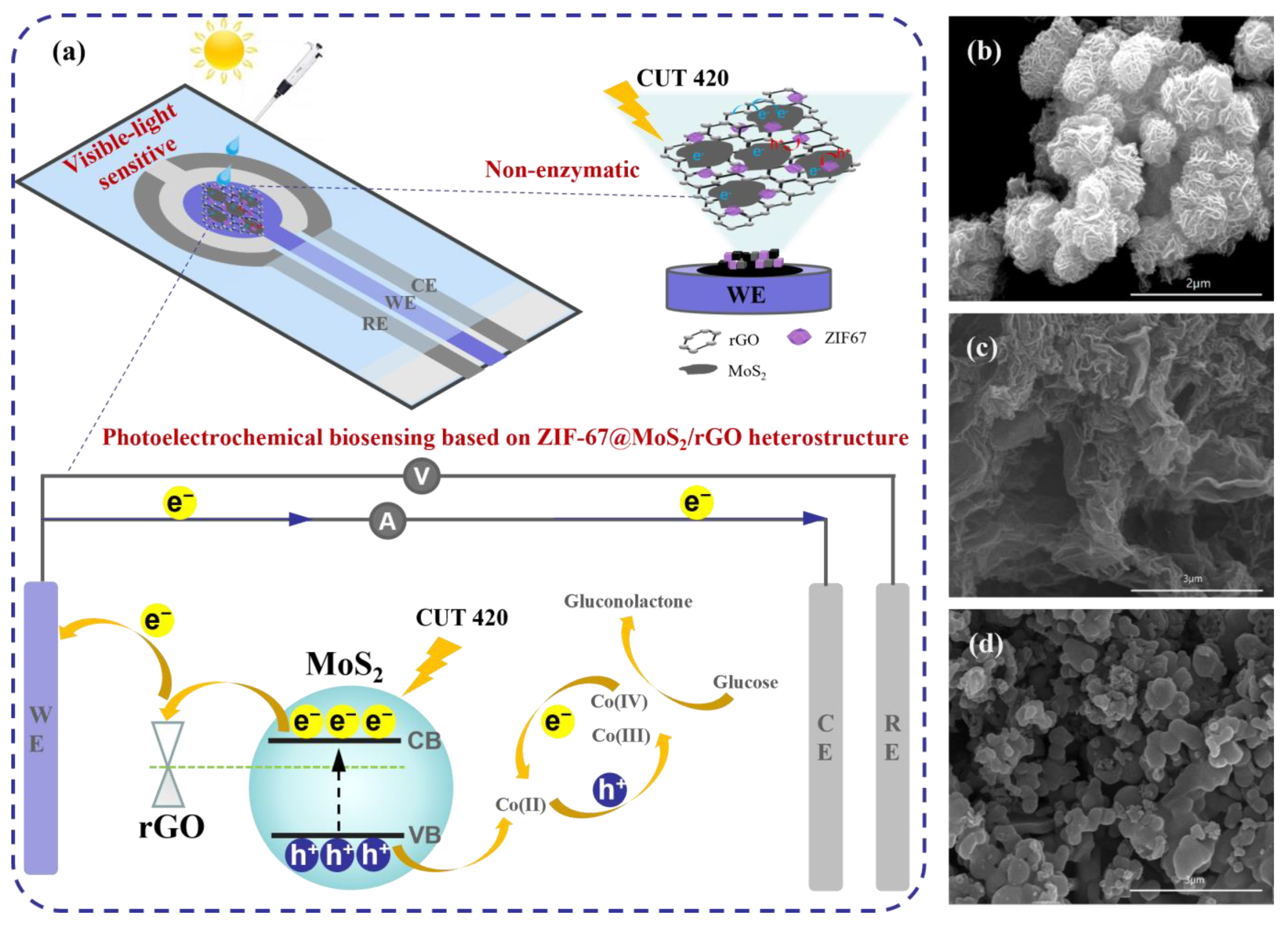 Biosensors 14 00038 g001