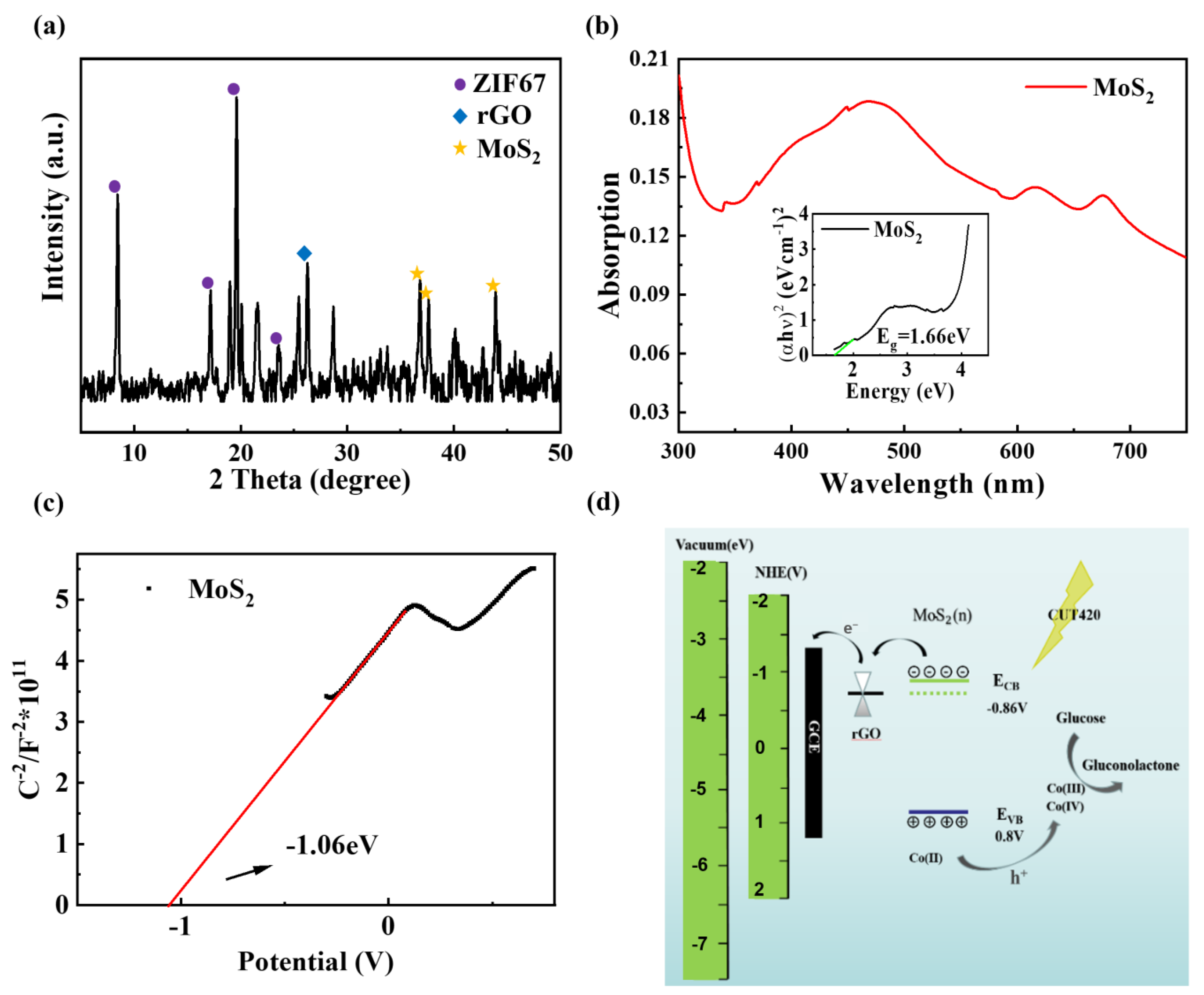 Biosensors 14 00038 g002