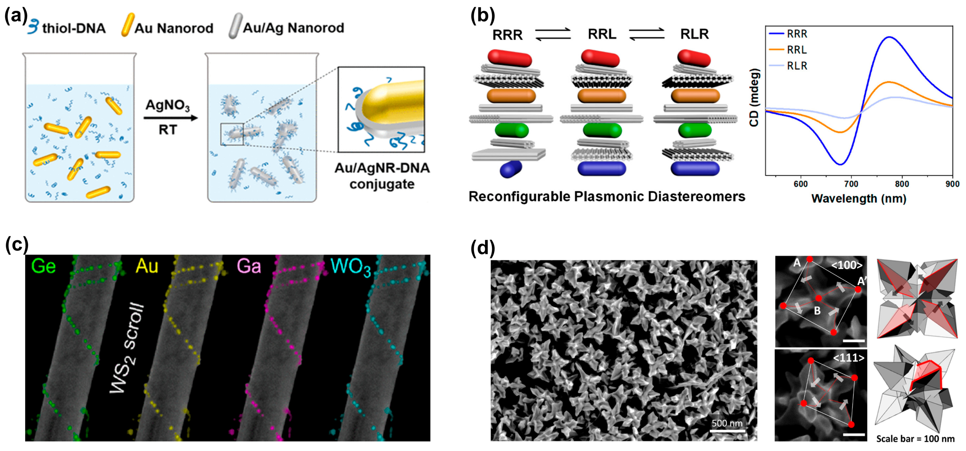 Biosensors 14 00039 g002