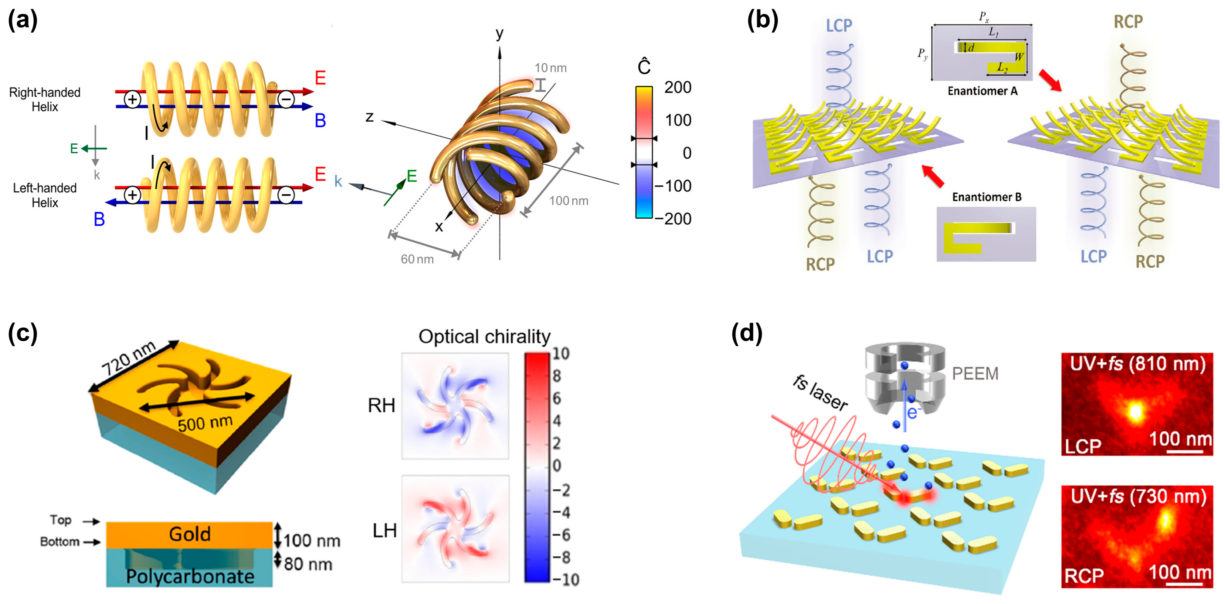 Biosensors 14 00039 g003