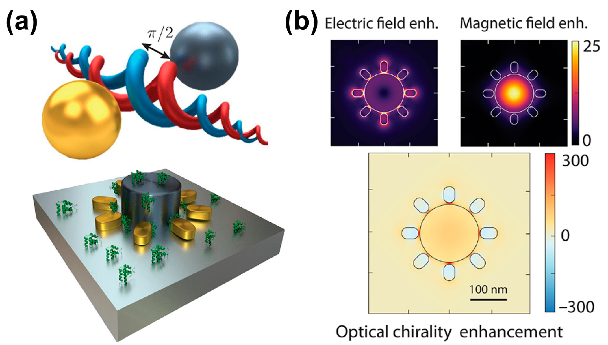 Biosensors 14 00039 g005