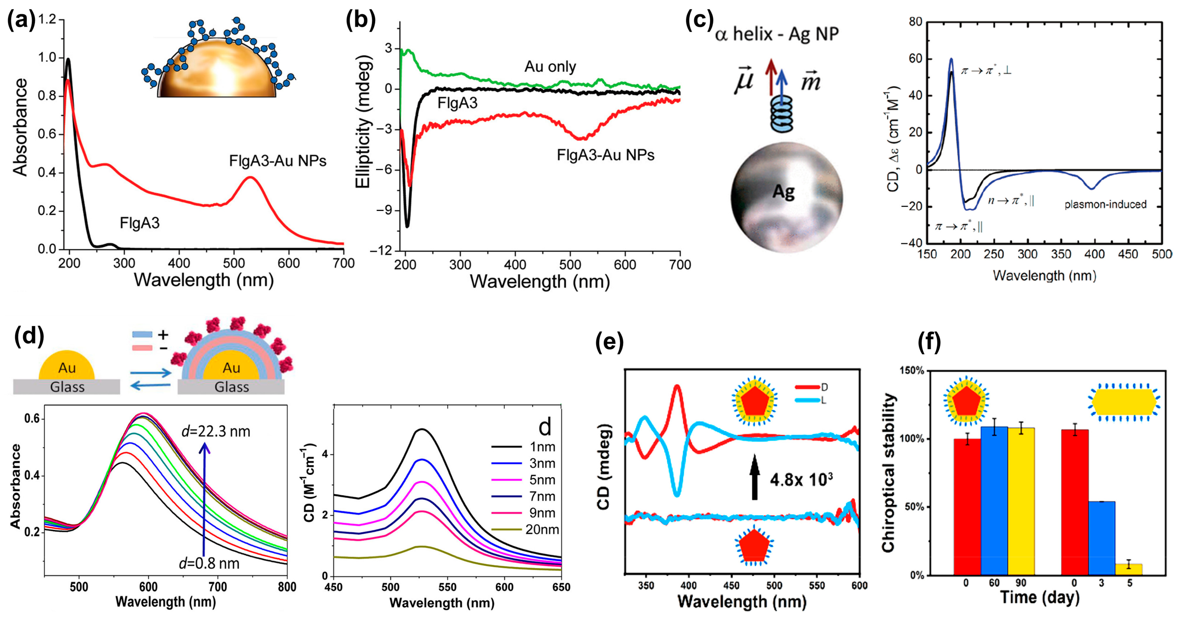 Biosensors 14 00039 g006