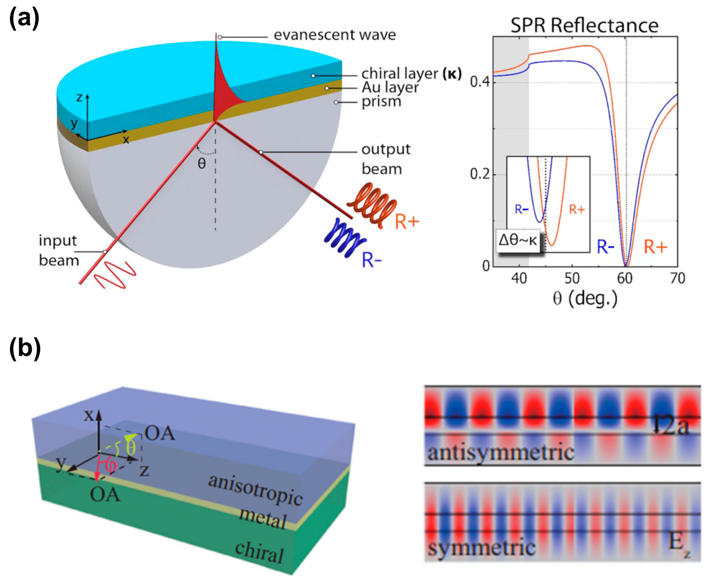 Biosensors 14 00039 g007