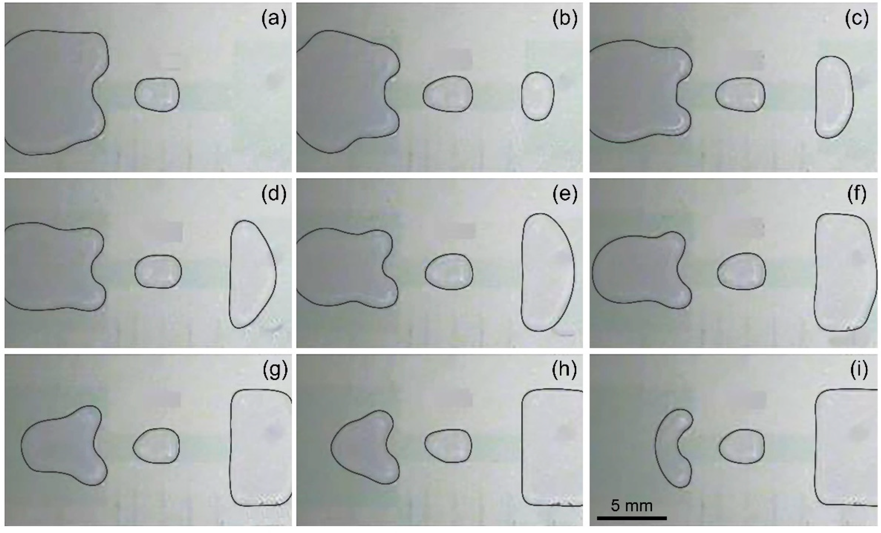 Biosensors 14 00044 g004