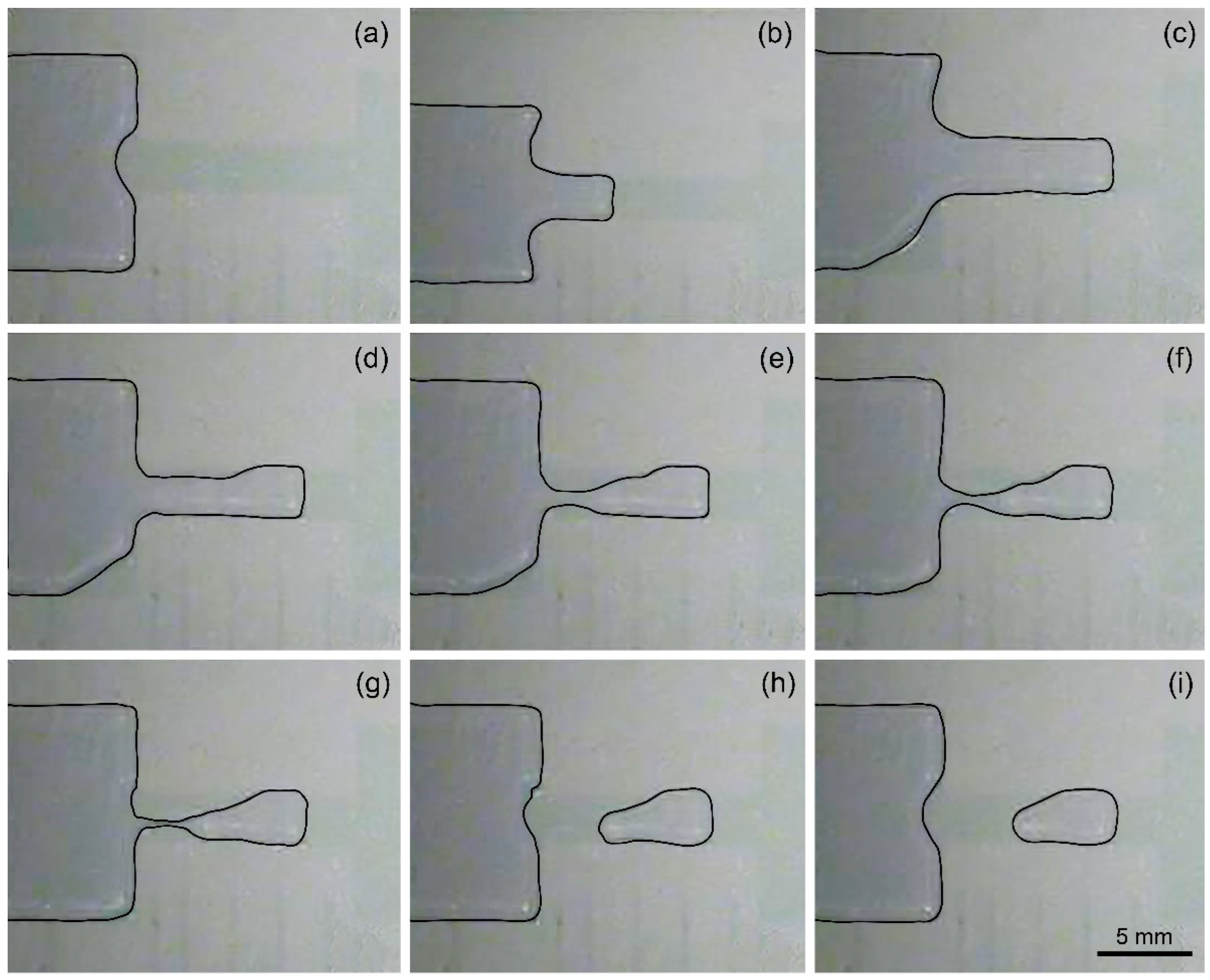 Biosensors 14 00044 g006