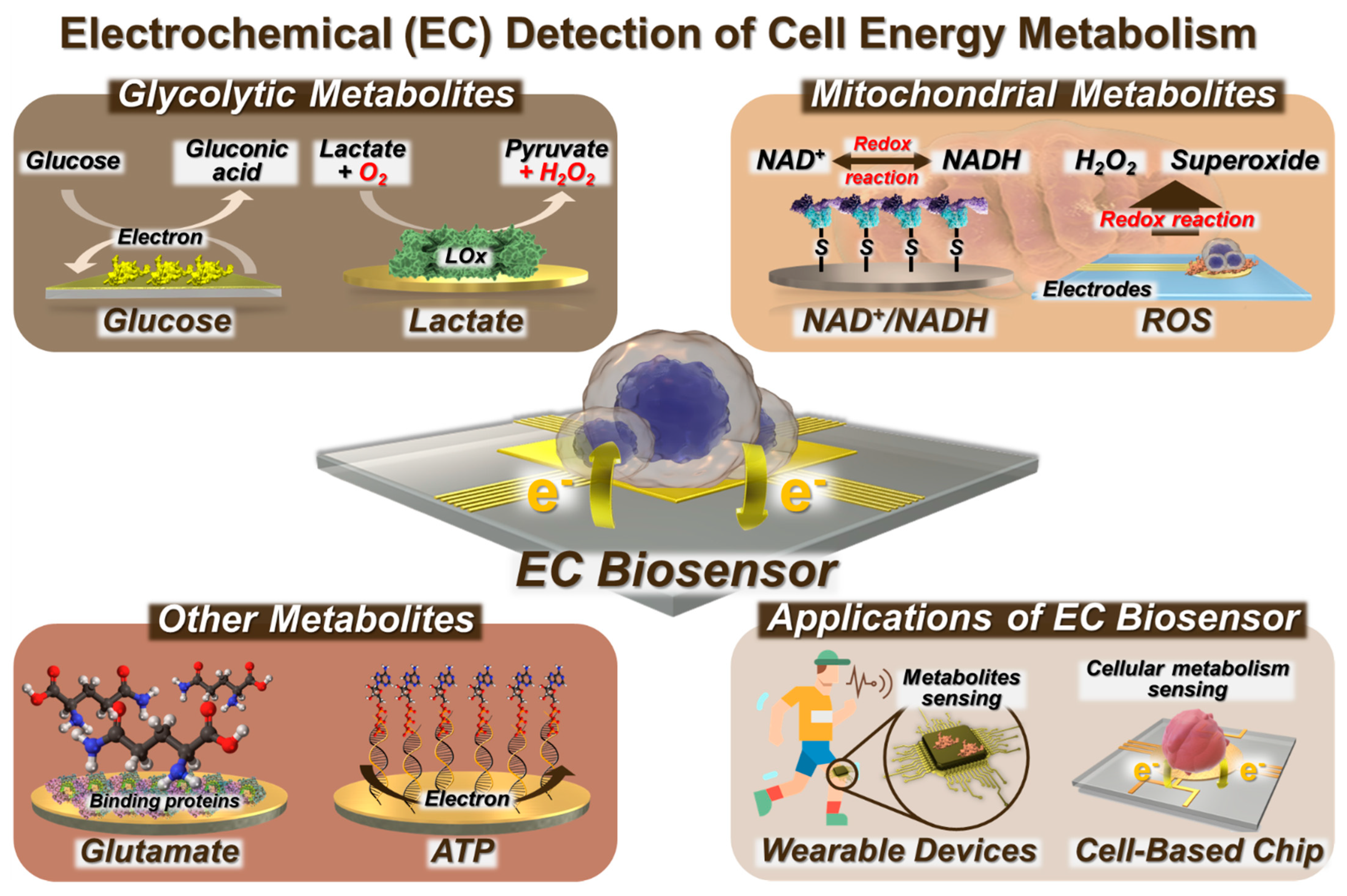 Biosensors 14 00046 g001