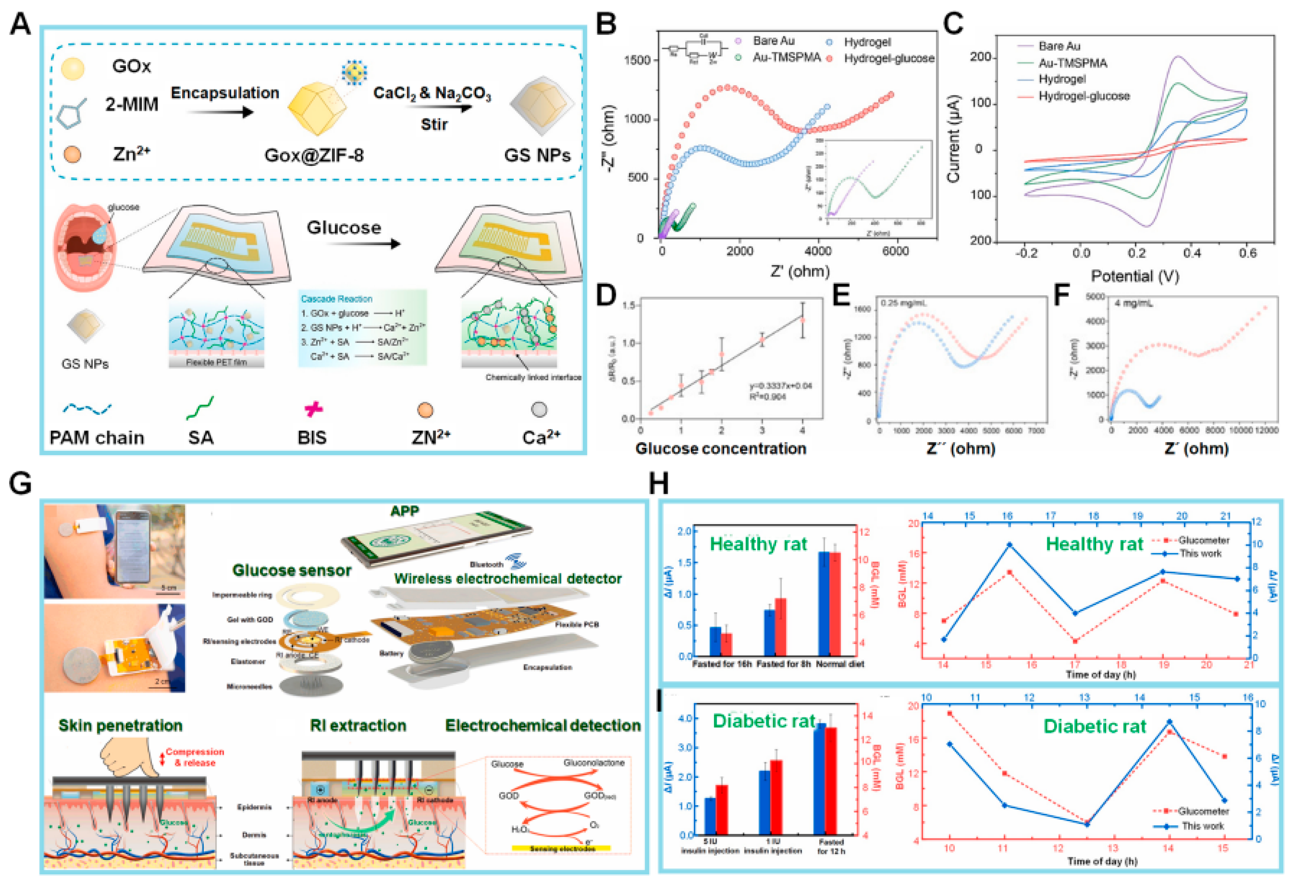 Biosensors 14 00046 g002