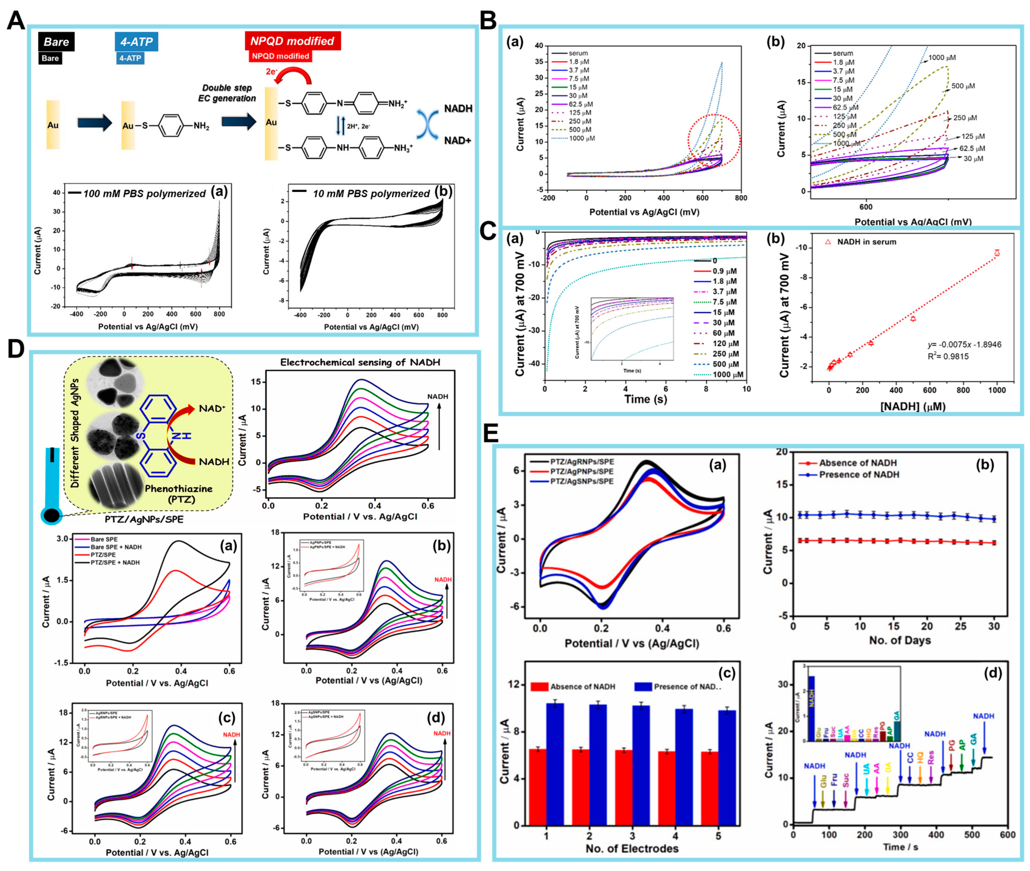 Biosensors 14 00046 g004
