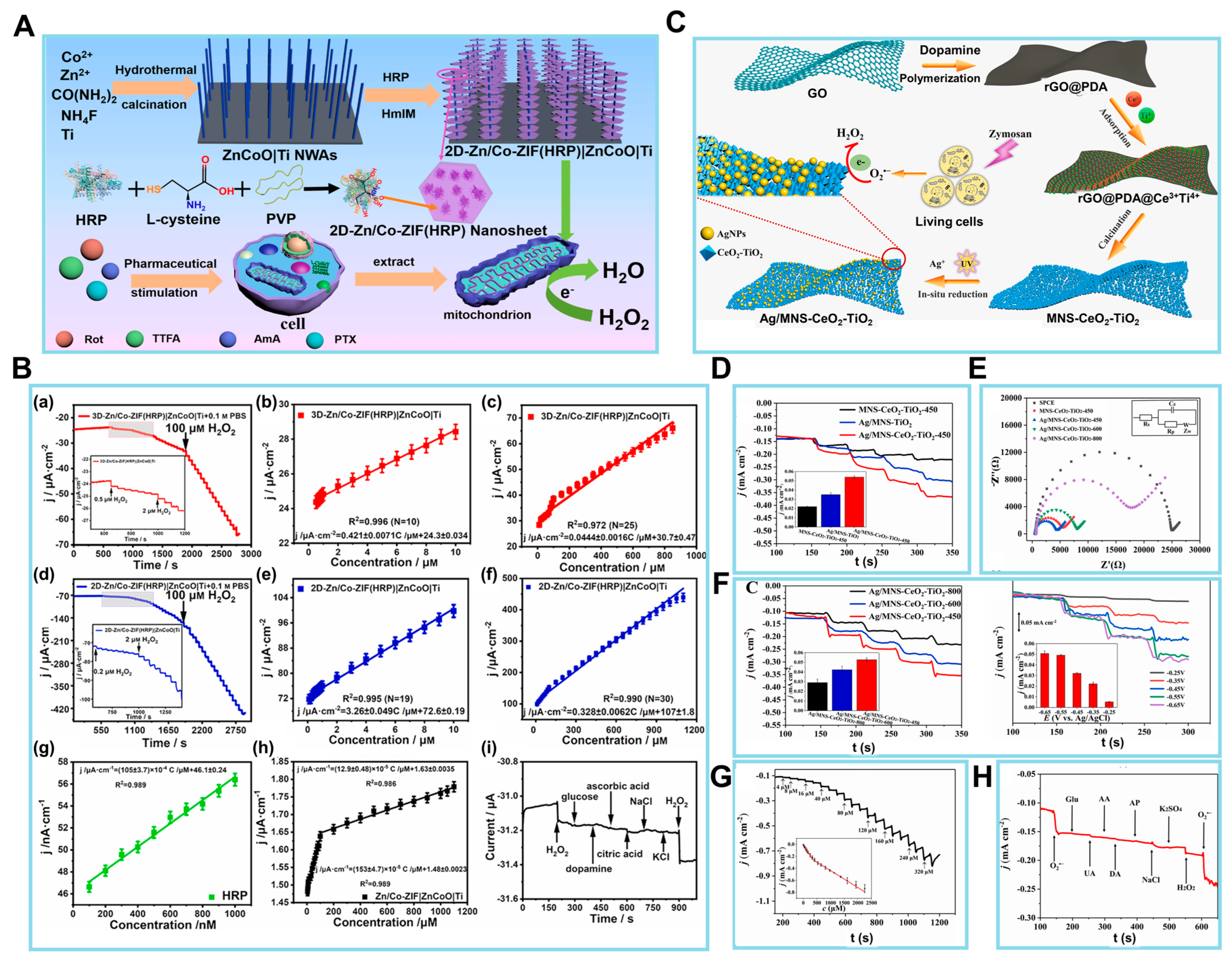 Biosensors 14 00046 g005
