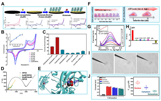 Biosensors 14 00046 g006