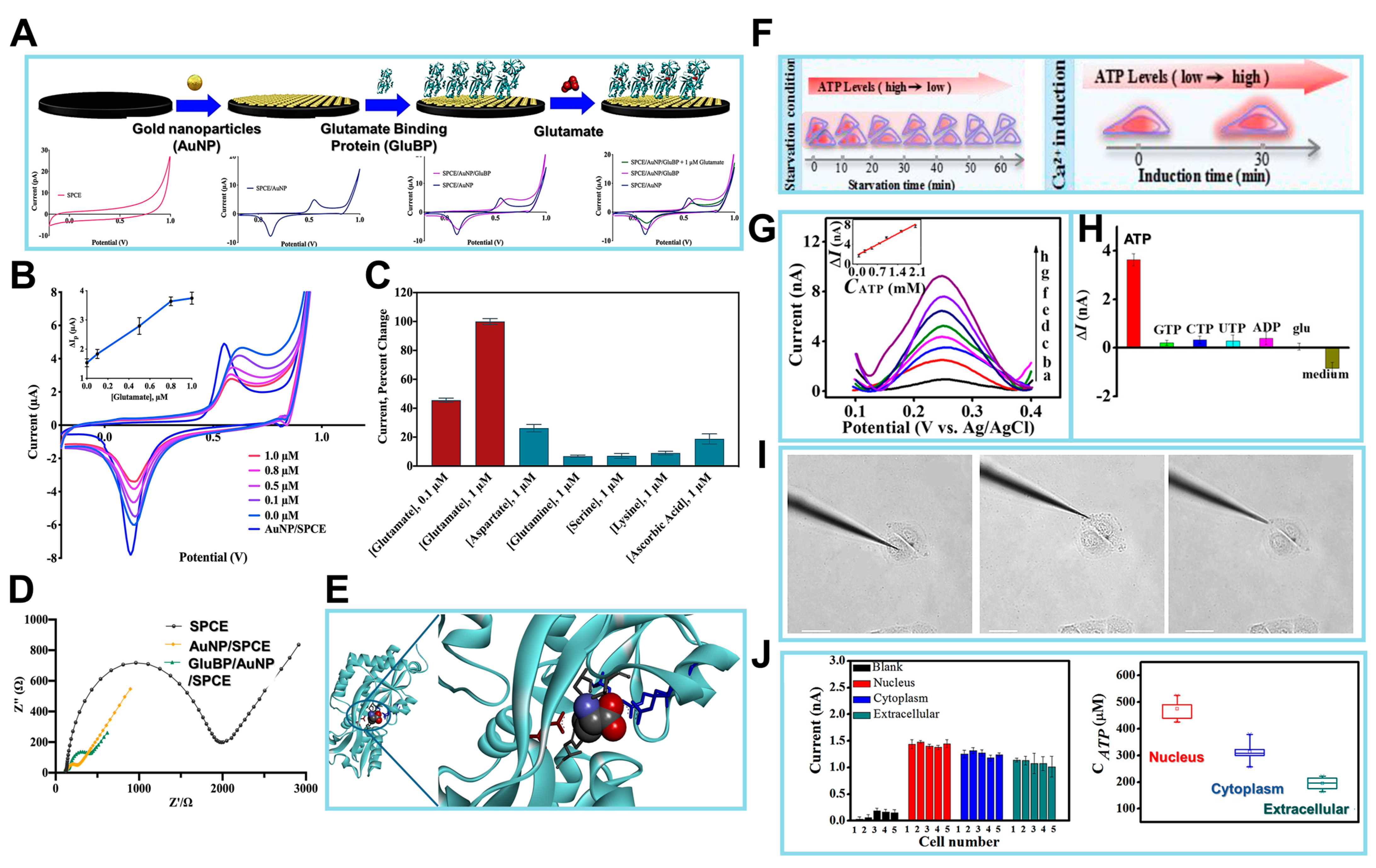 Biosensors 14 00046 g006