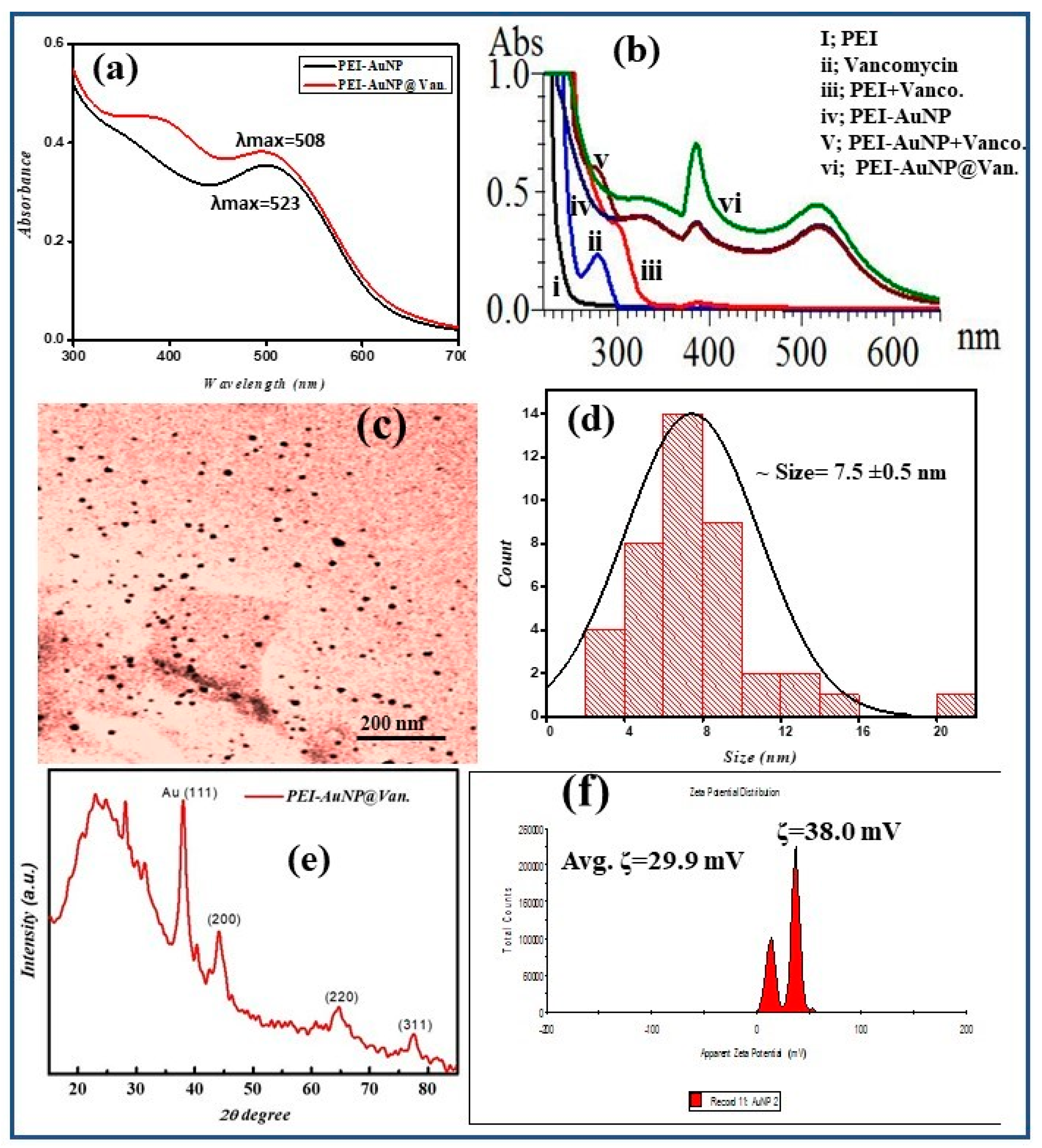 Biosensors 14 00049 g001