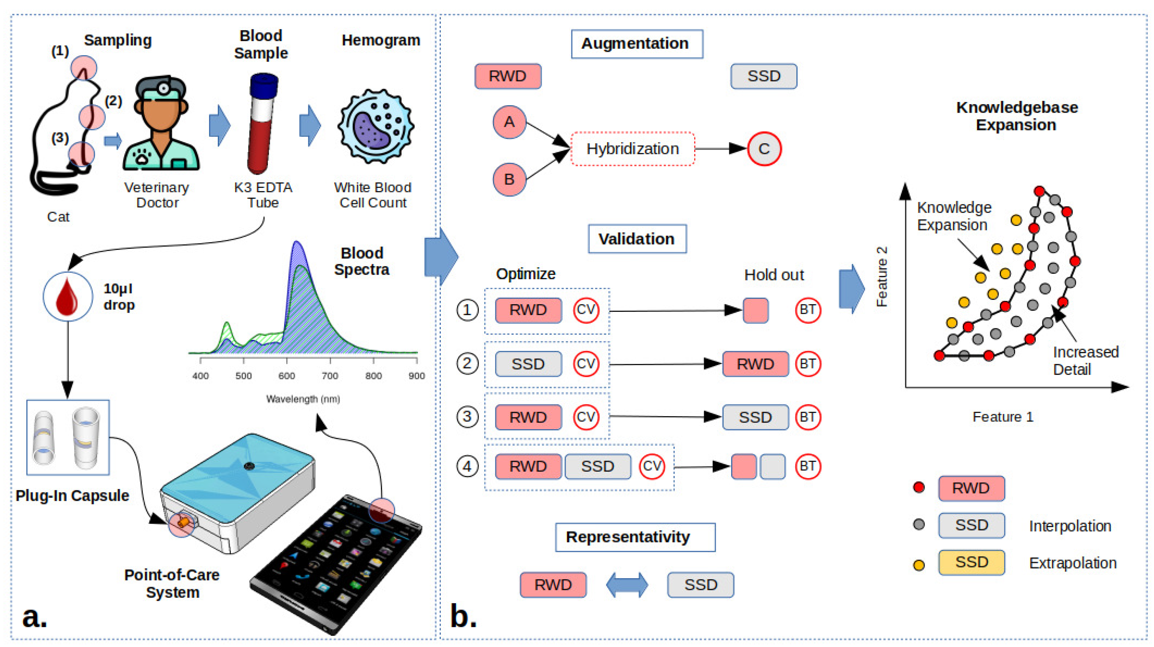 Biosensors 14 00053 g001