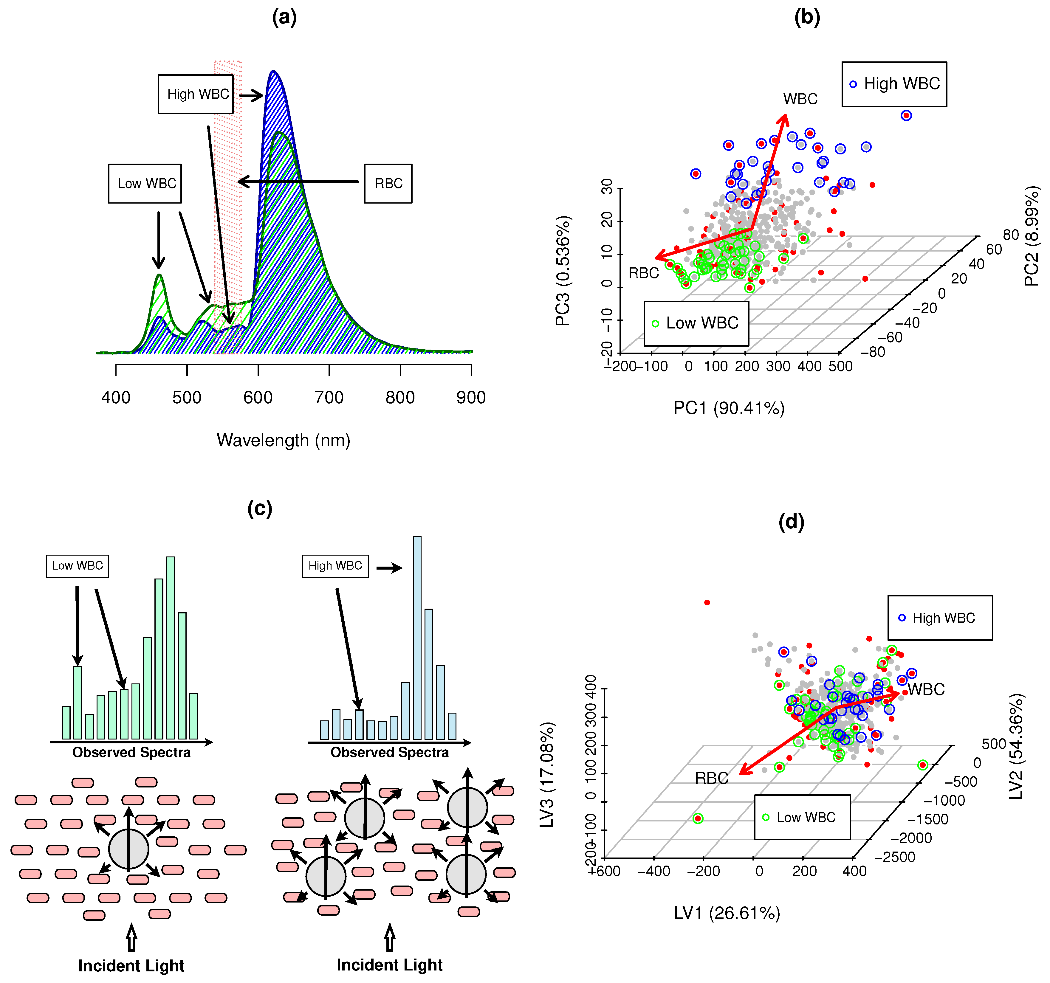 Biosensors 14 00053 g002