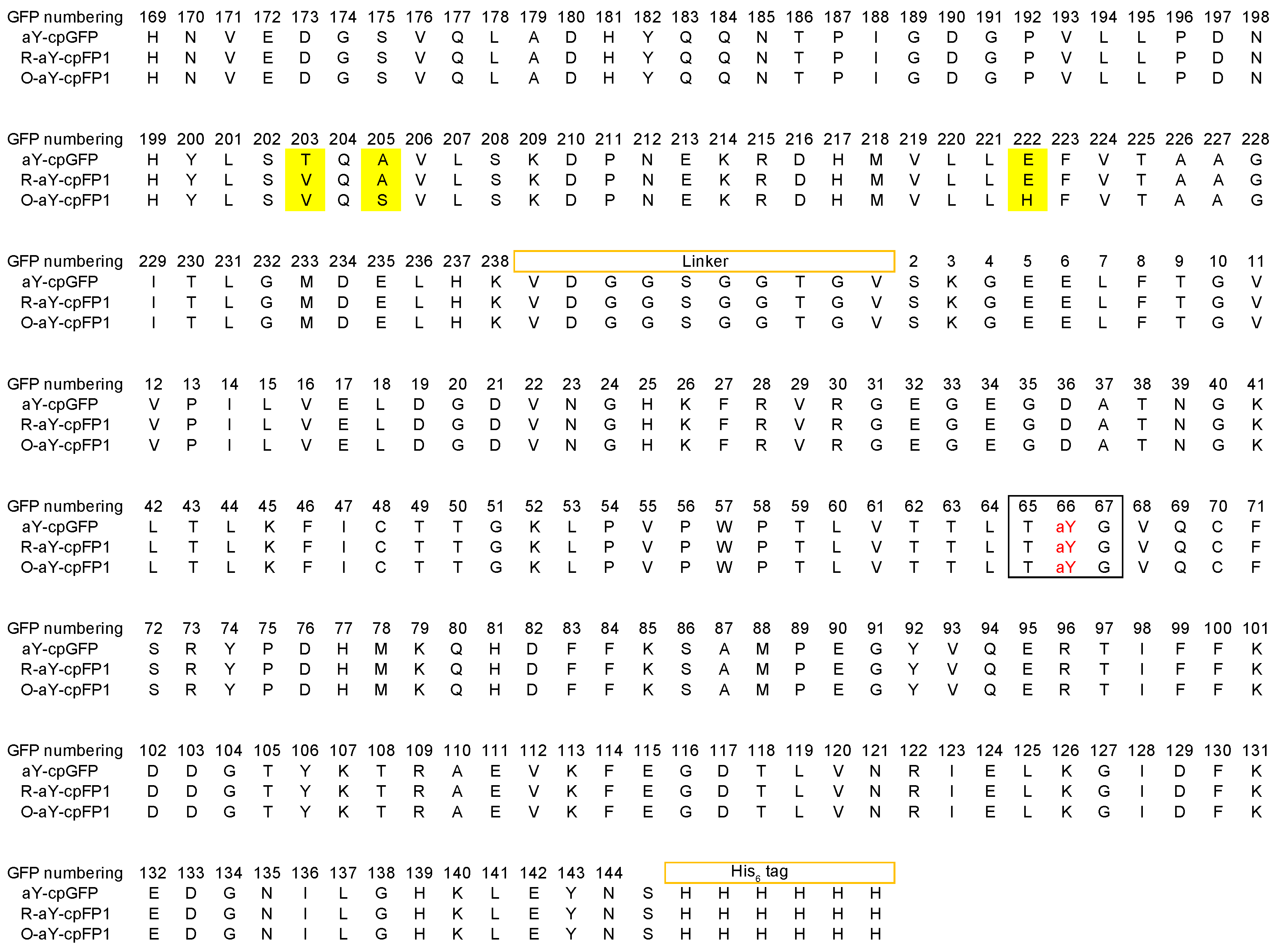Biosensors 14 00054 g003