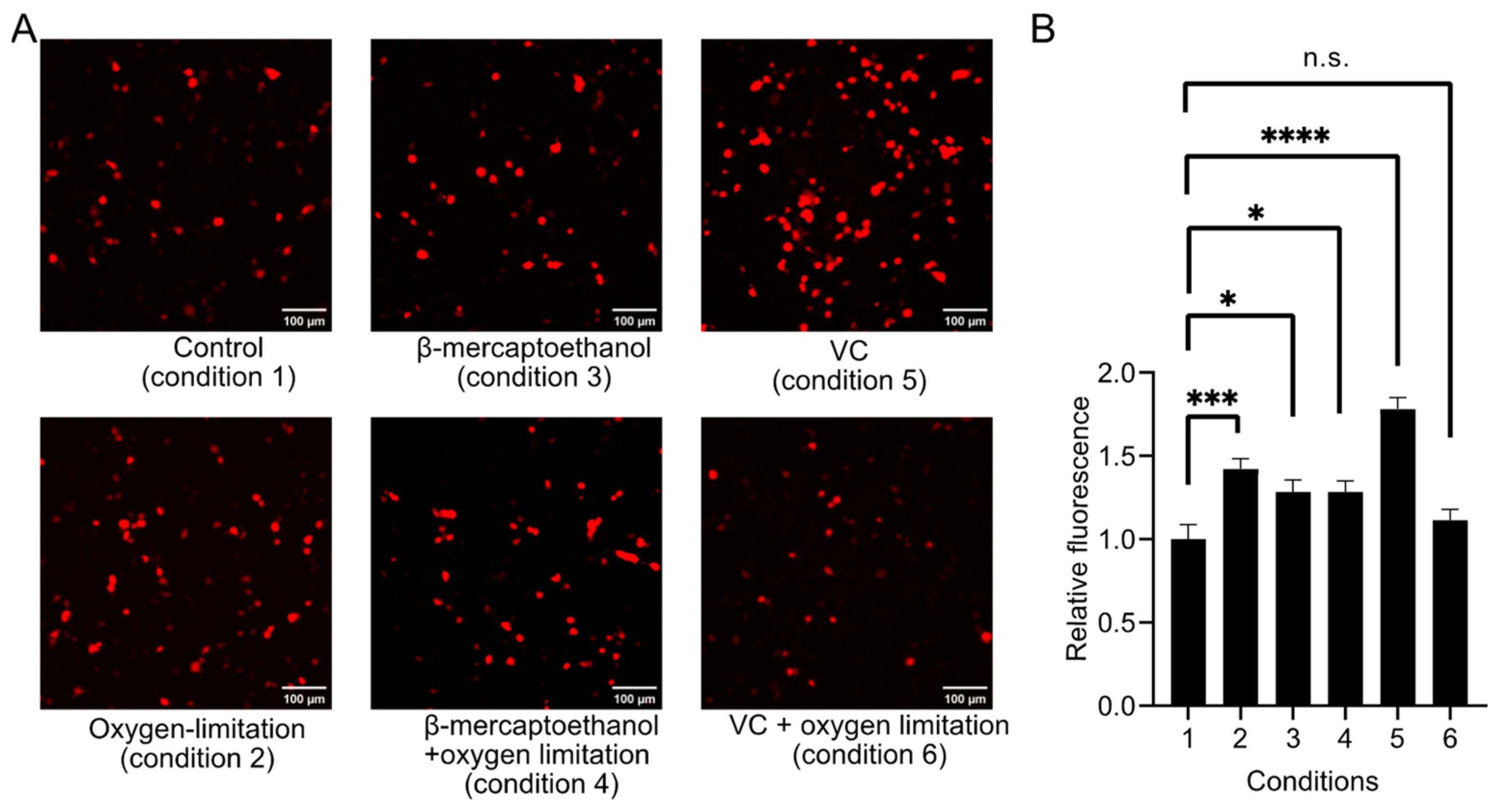Biosensors 14 00054 g006