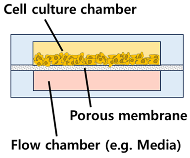 Biosensors 14 00055 i002