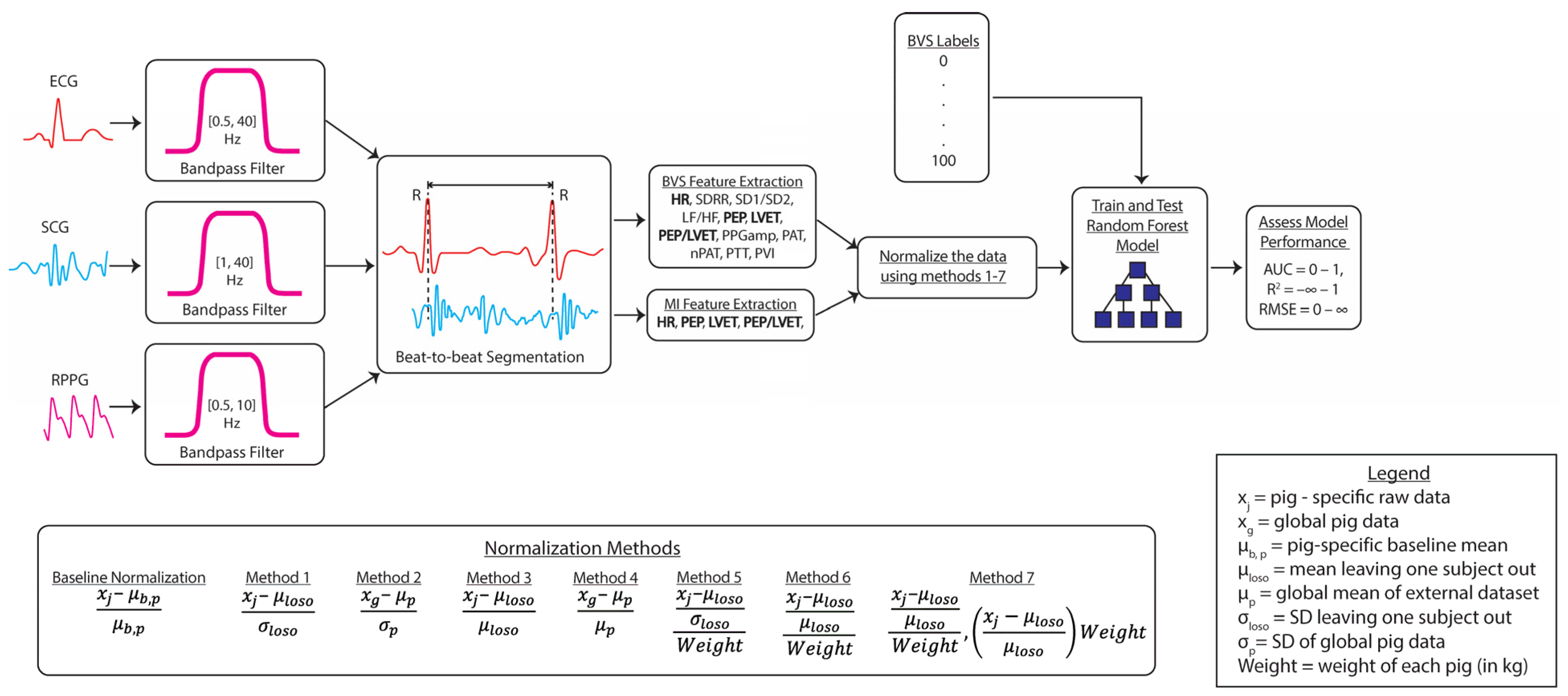 Biosensors 14 00061 g003 Biosensors 14 00061 g003