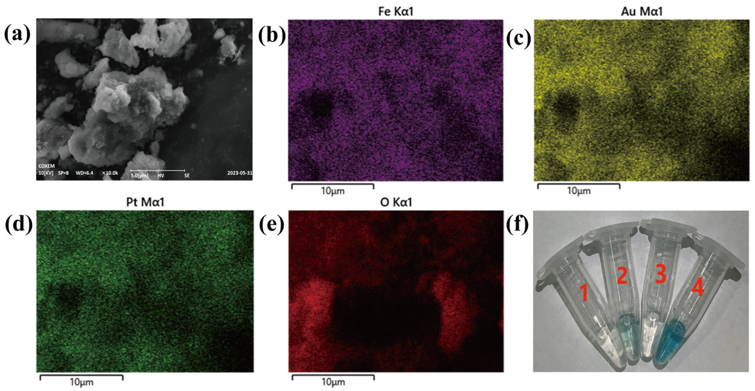 Biosensors 14 00062 g001