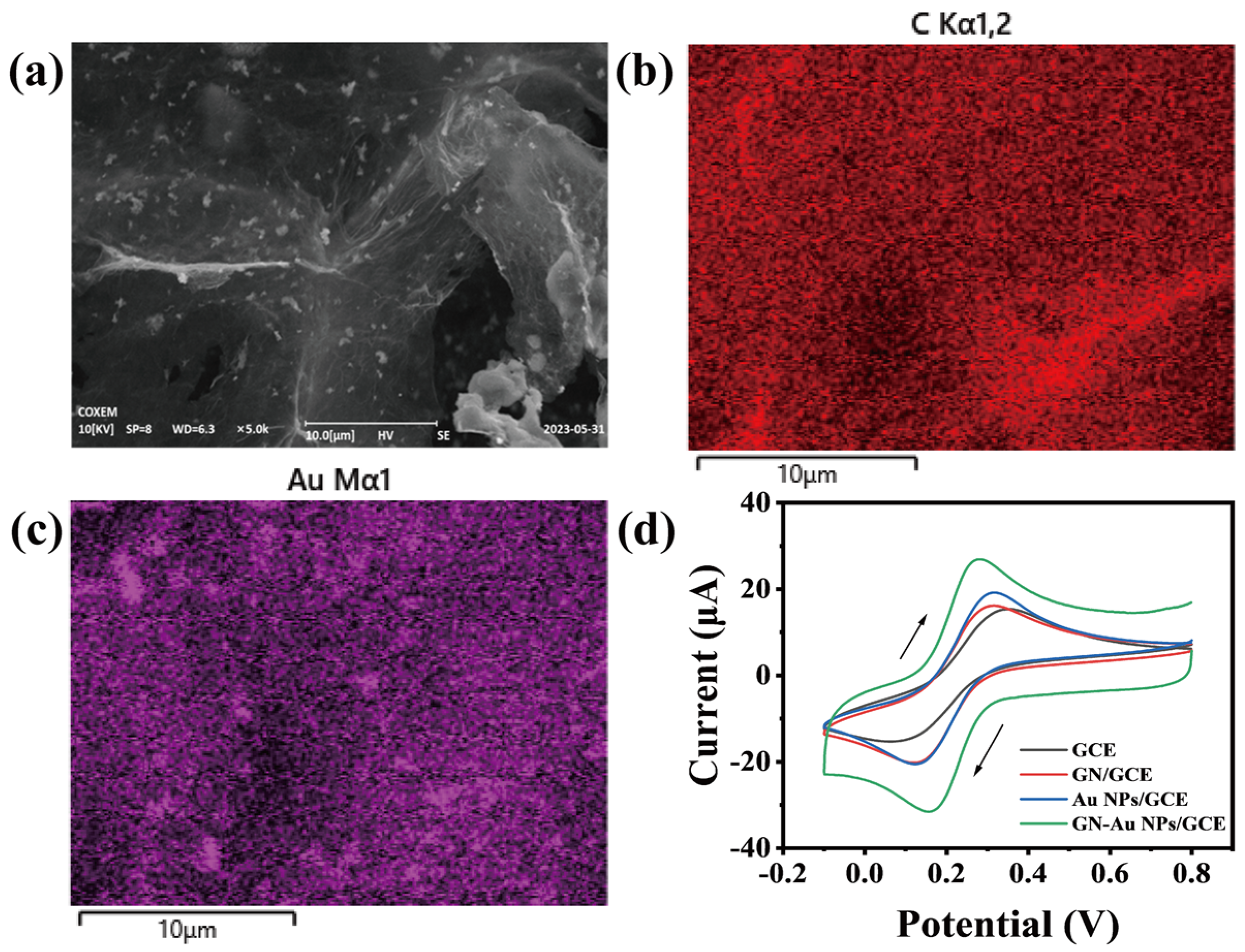 Biosensors 14 00062 g002