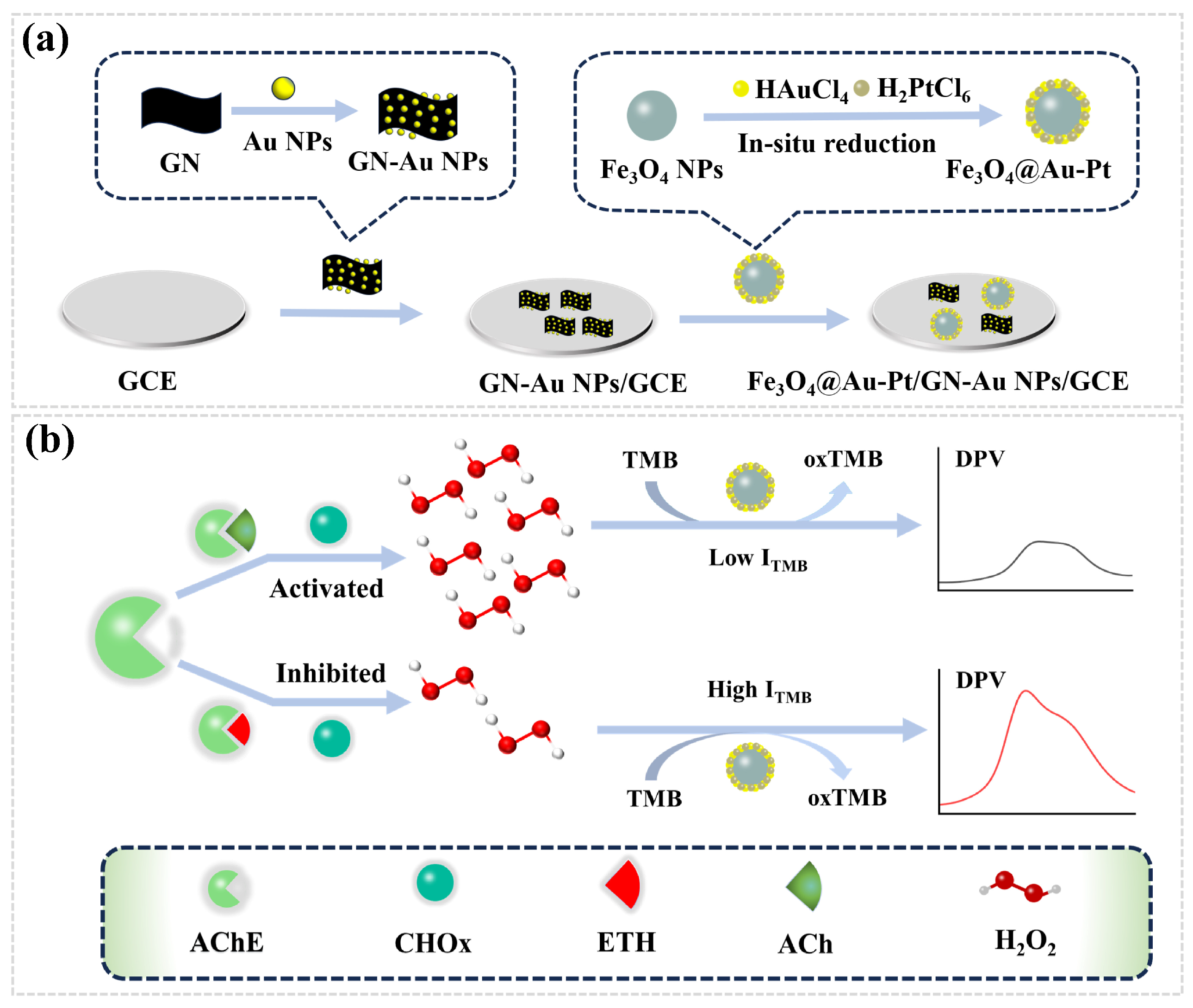 Biosensors 14 00062 sch001