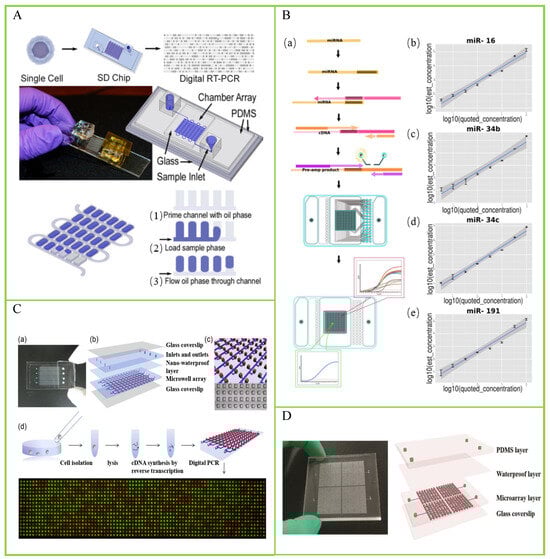 Biosensors 14 00064 g004