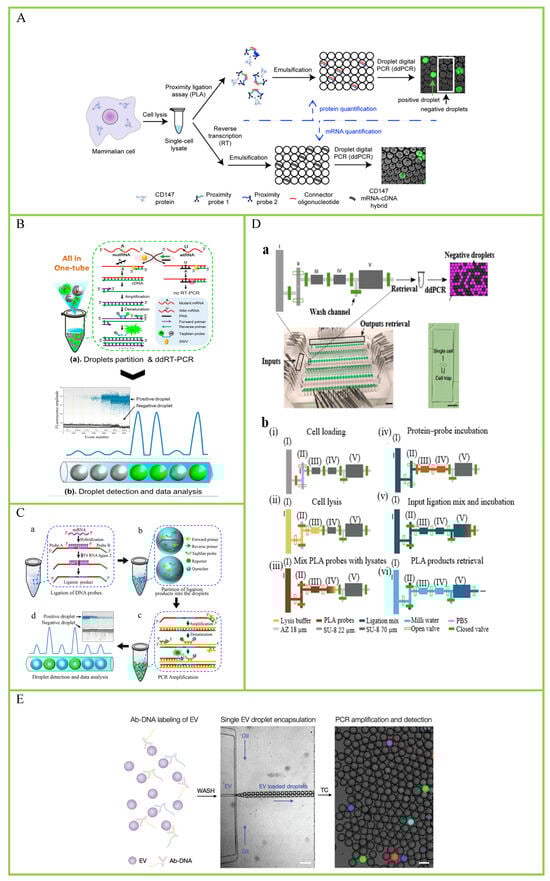 Biosensors 14 00064 g005