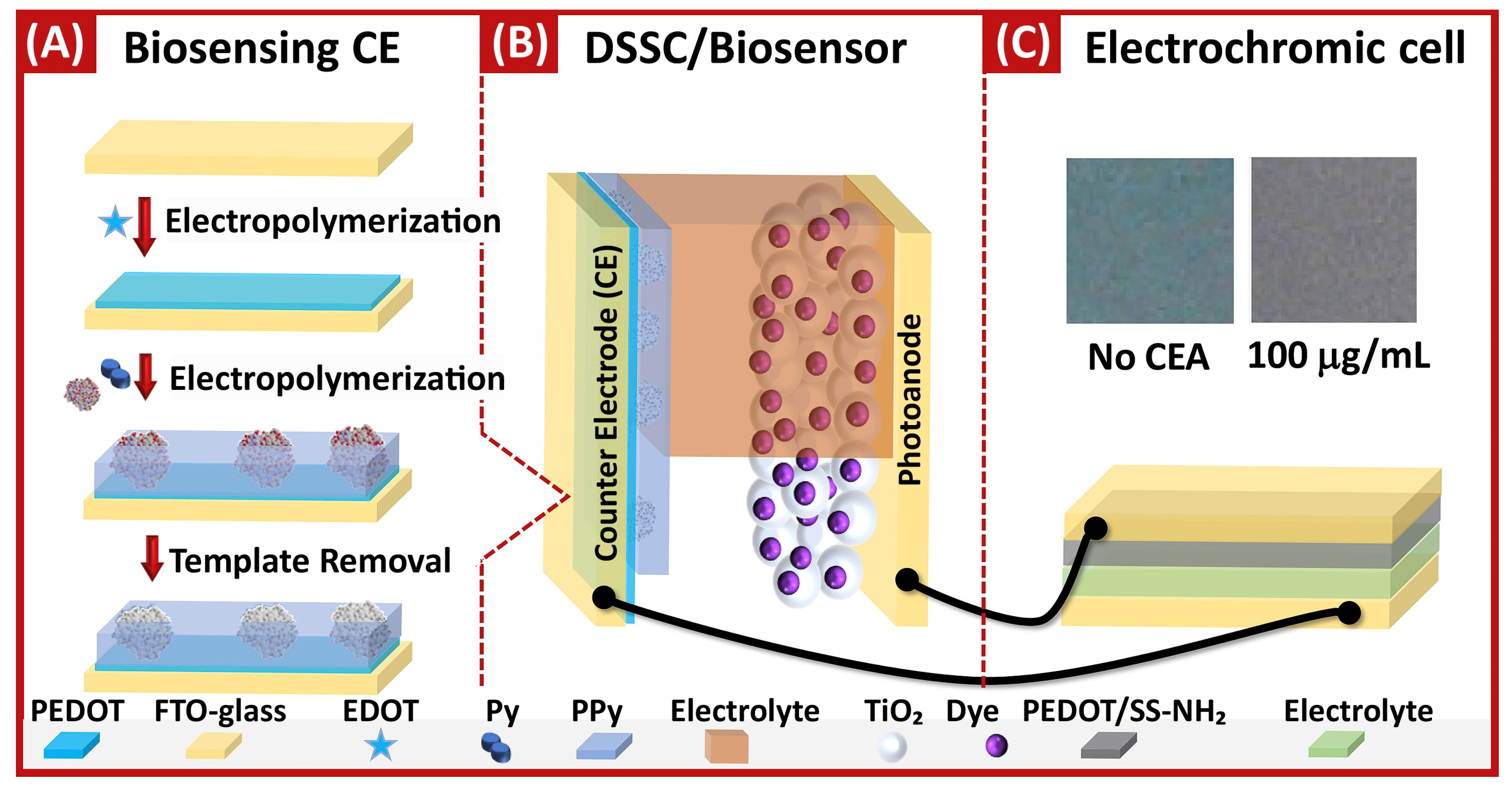Biosensors 14 00071 g003