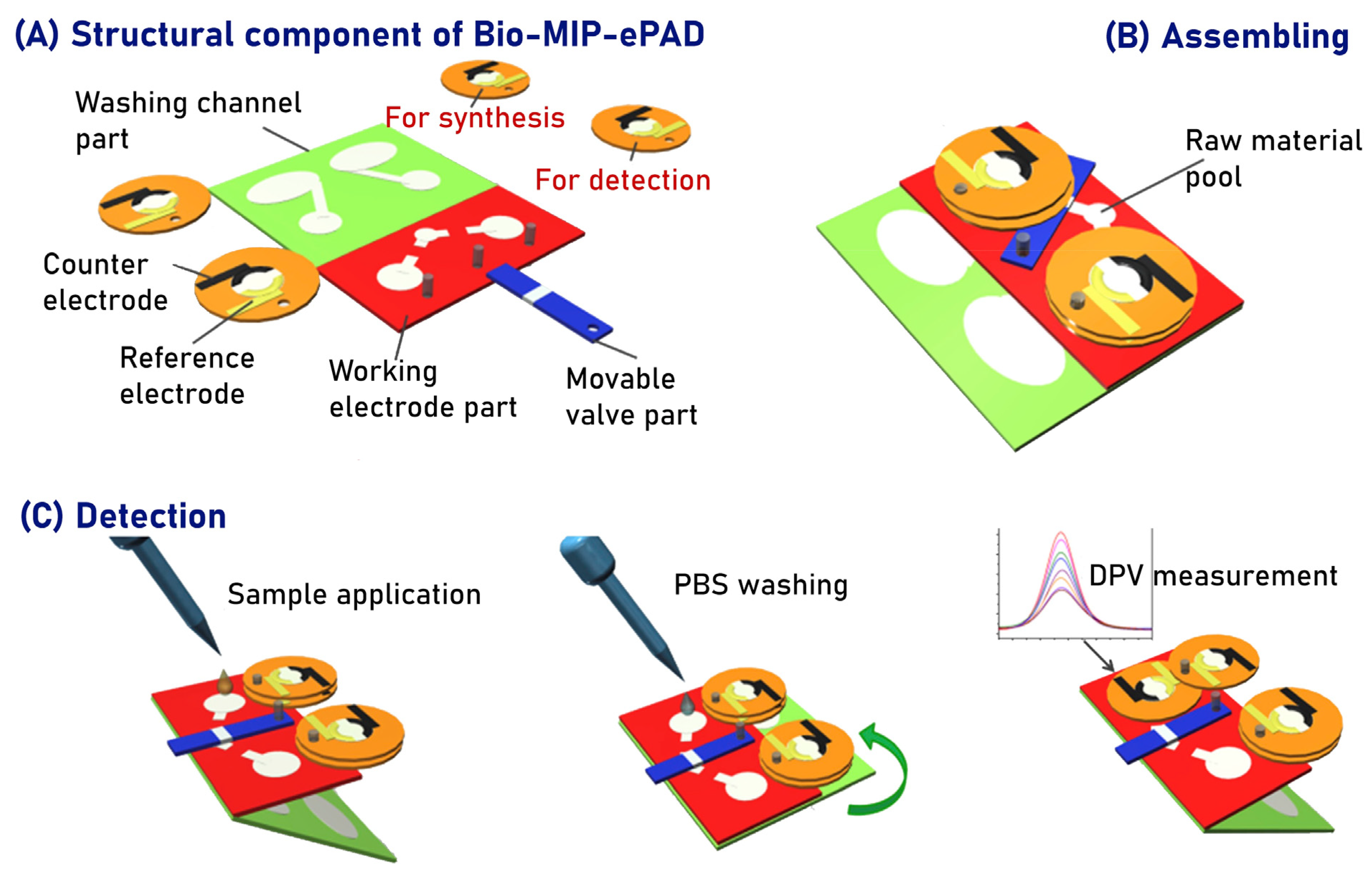 Biosensors 14 00071 g004