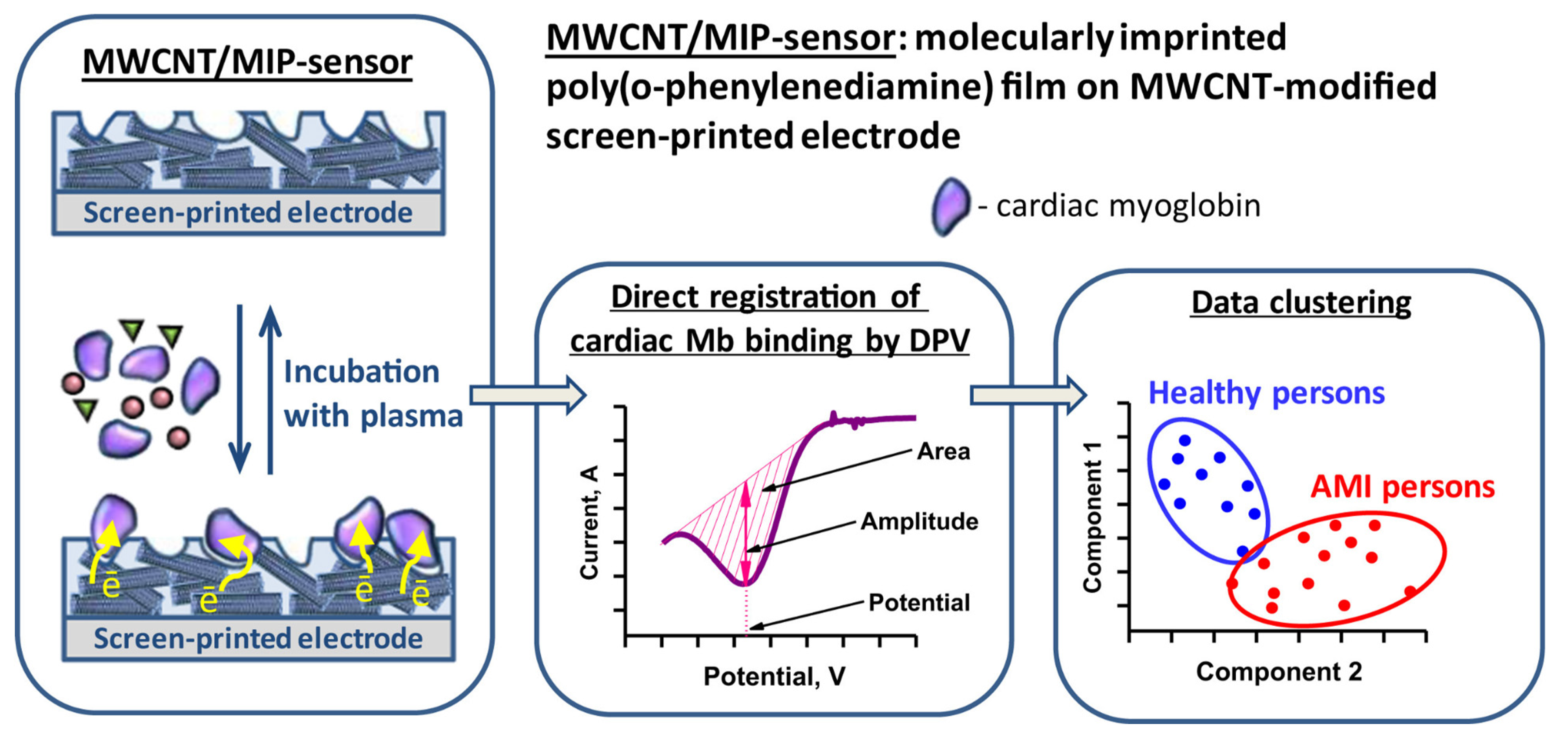 Biosensors 14 00071 g005