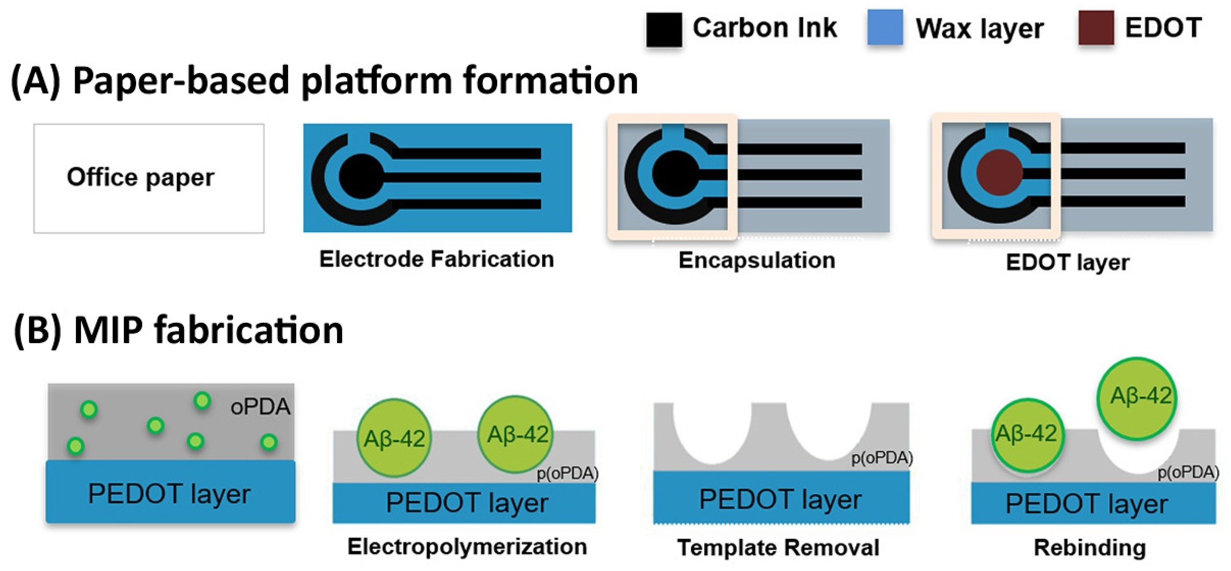 Biosensors 14 00071 g007