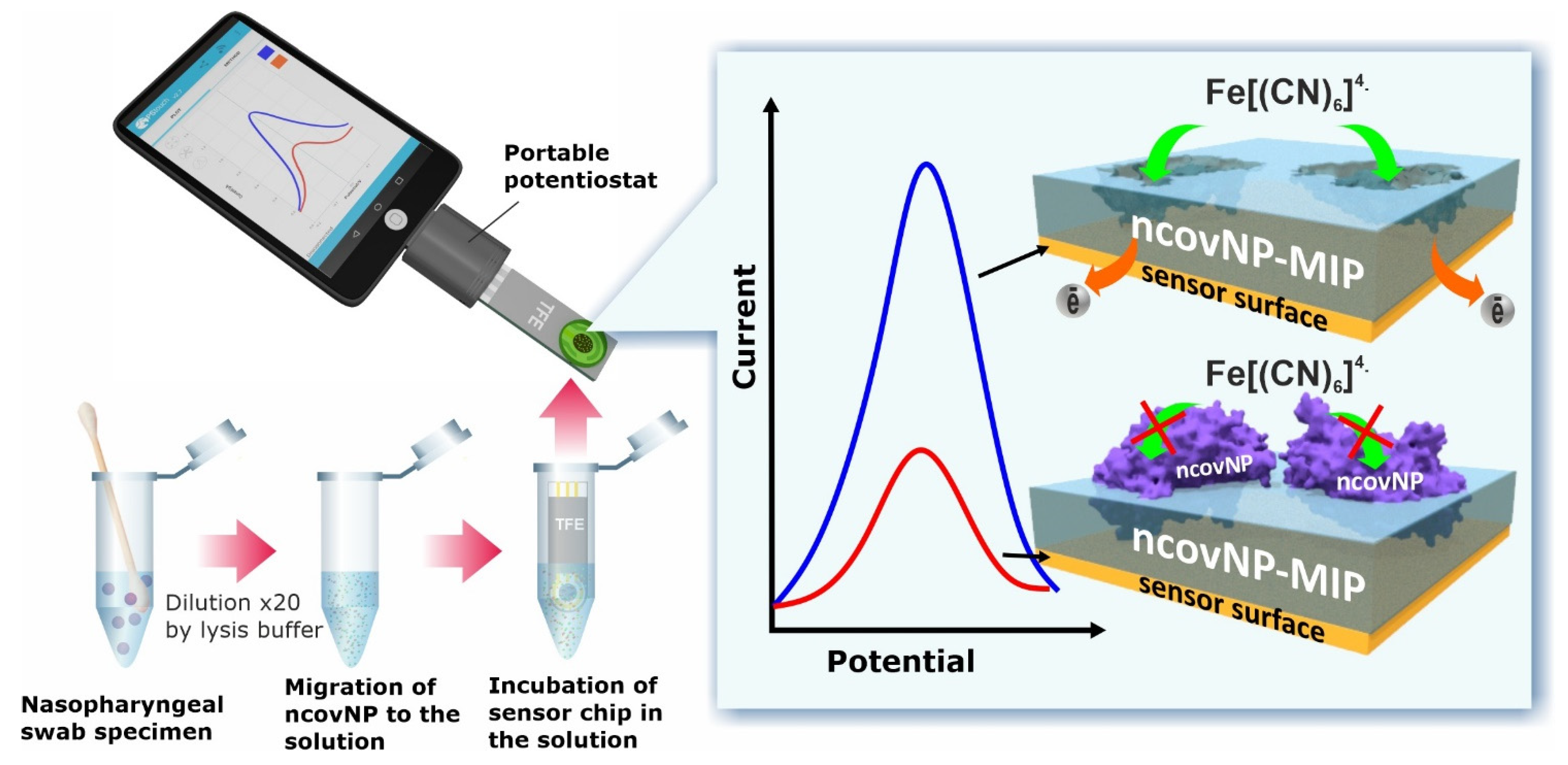 Biosensors 14 00071 g008
