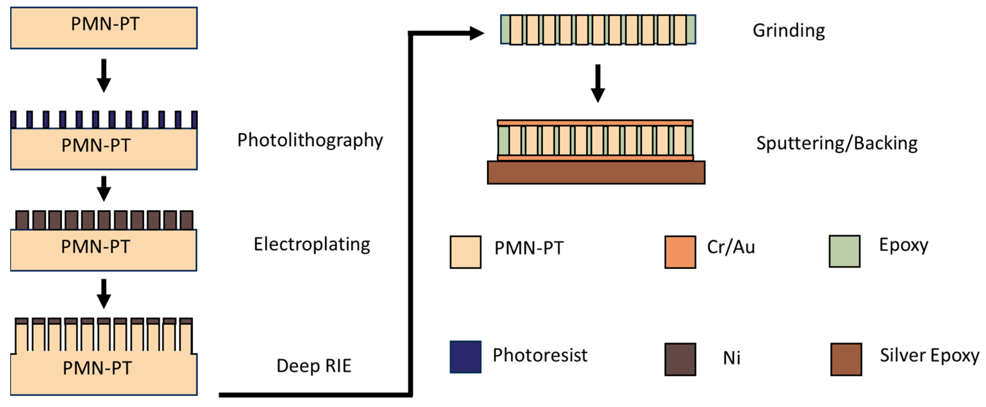 Biosensors 14 00074 g001