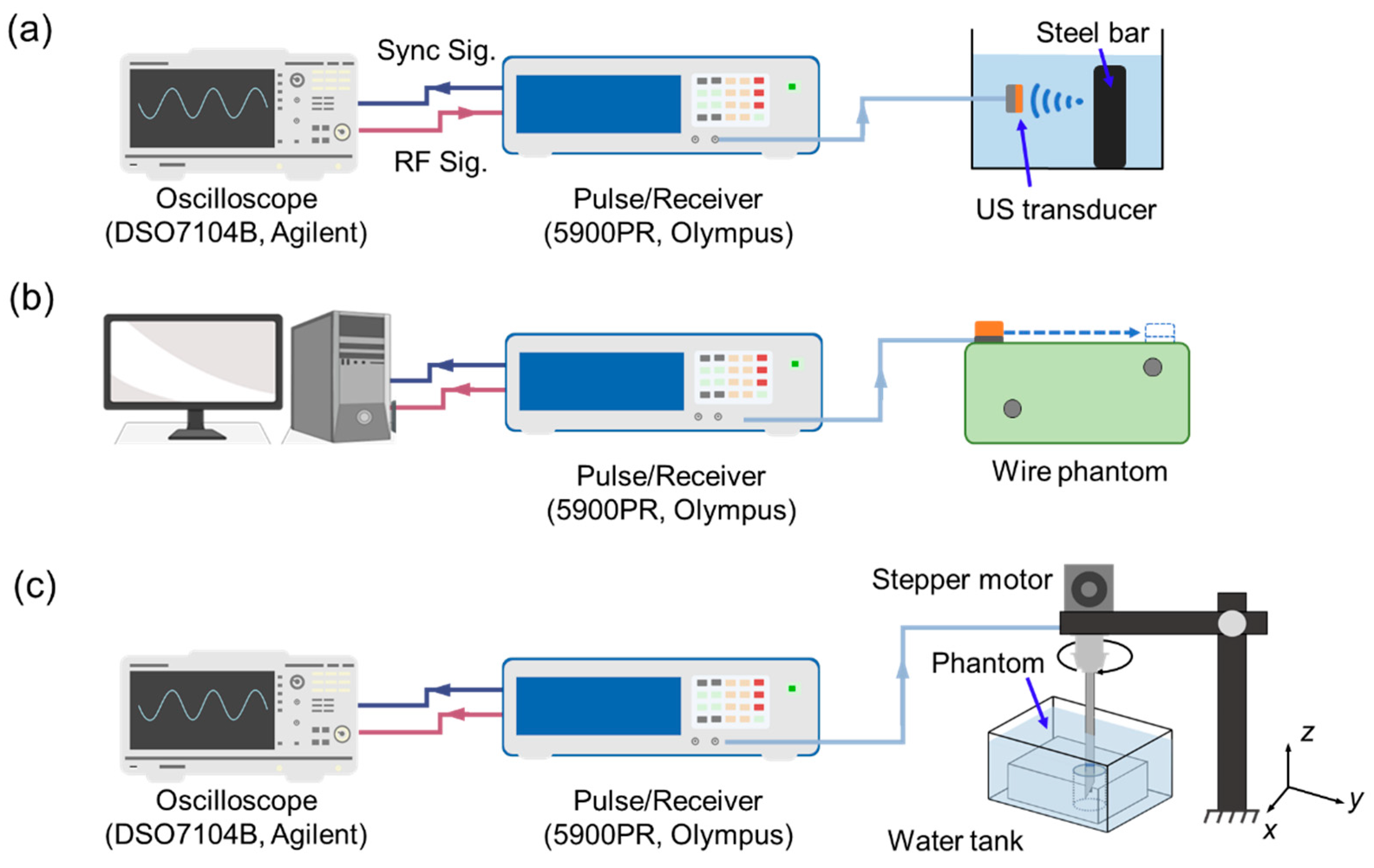 Biosensors 14 00074 g002