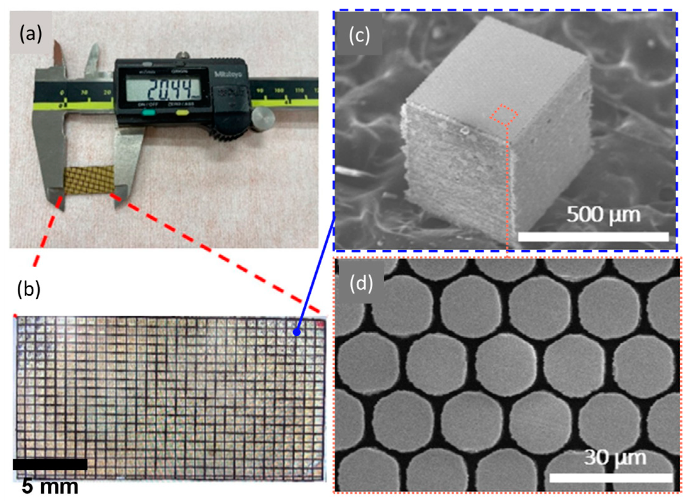 Biosensors 14 00074 g004