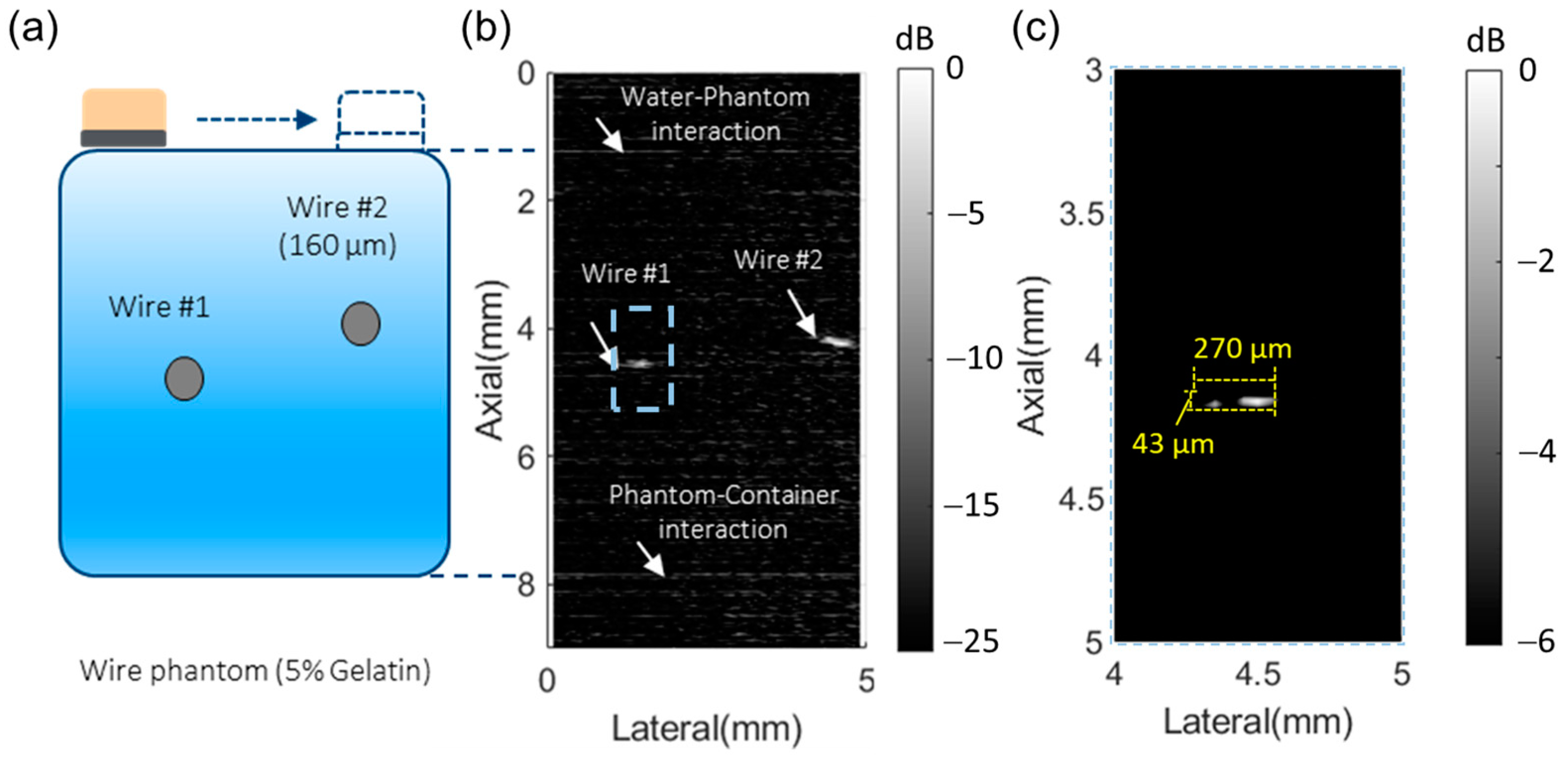 Biosensors 14 00074 g006