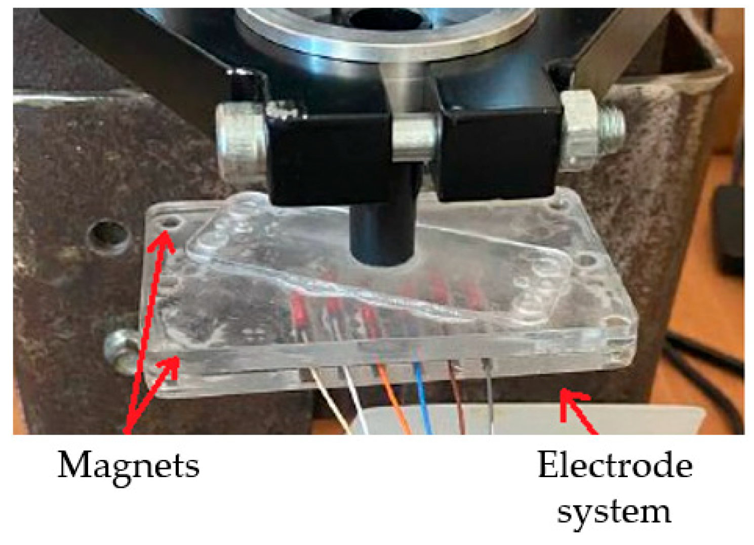Biosensors 14 00076 g006