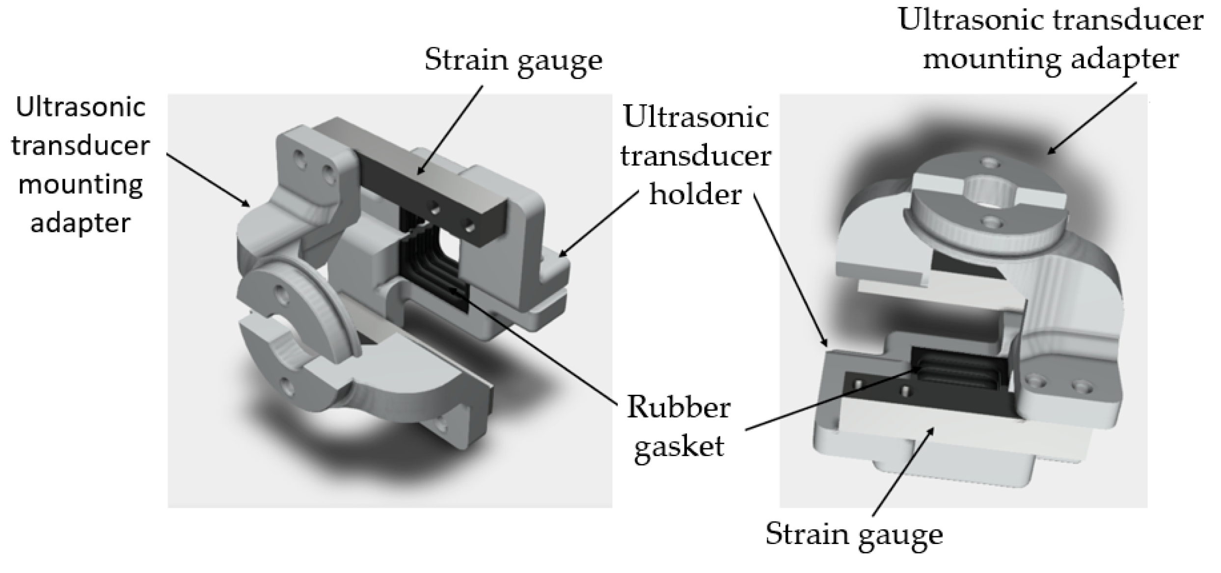 Biosensors 14 00076 g008